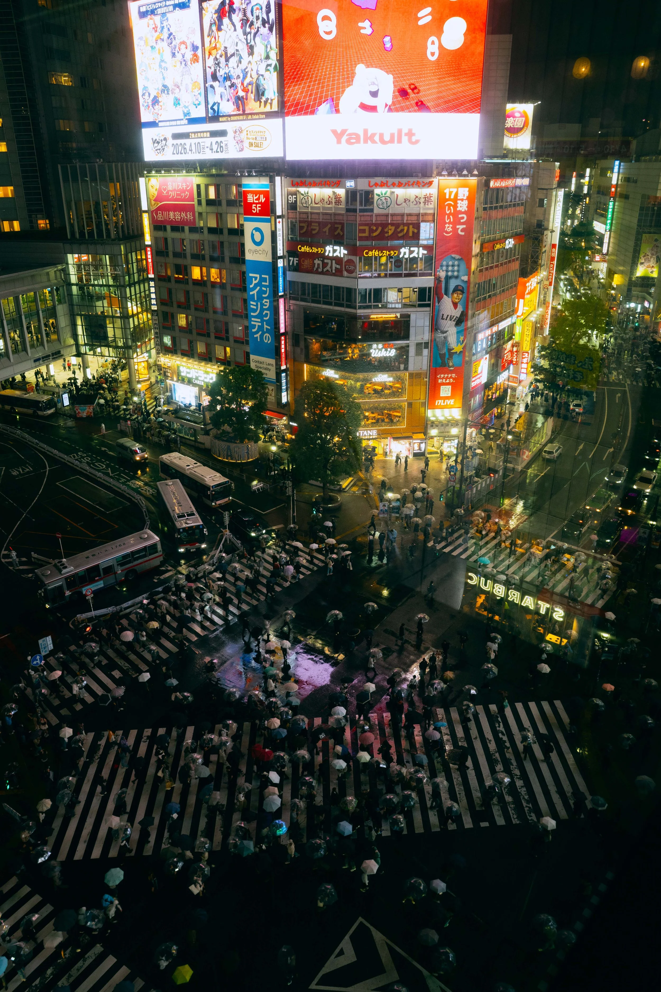 DSC08069.jpg