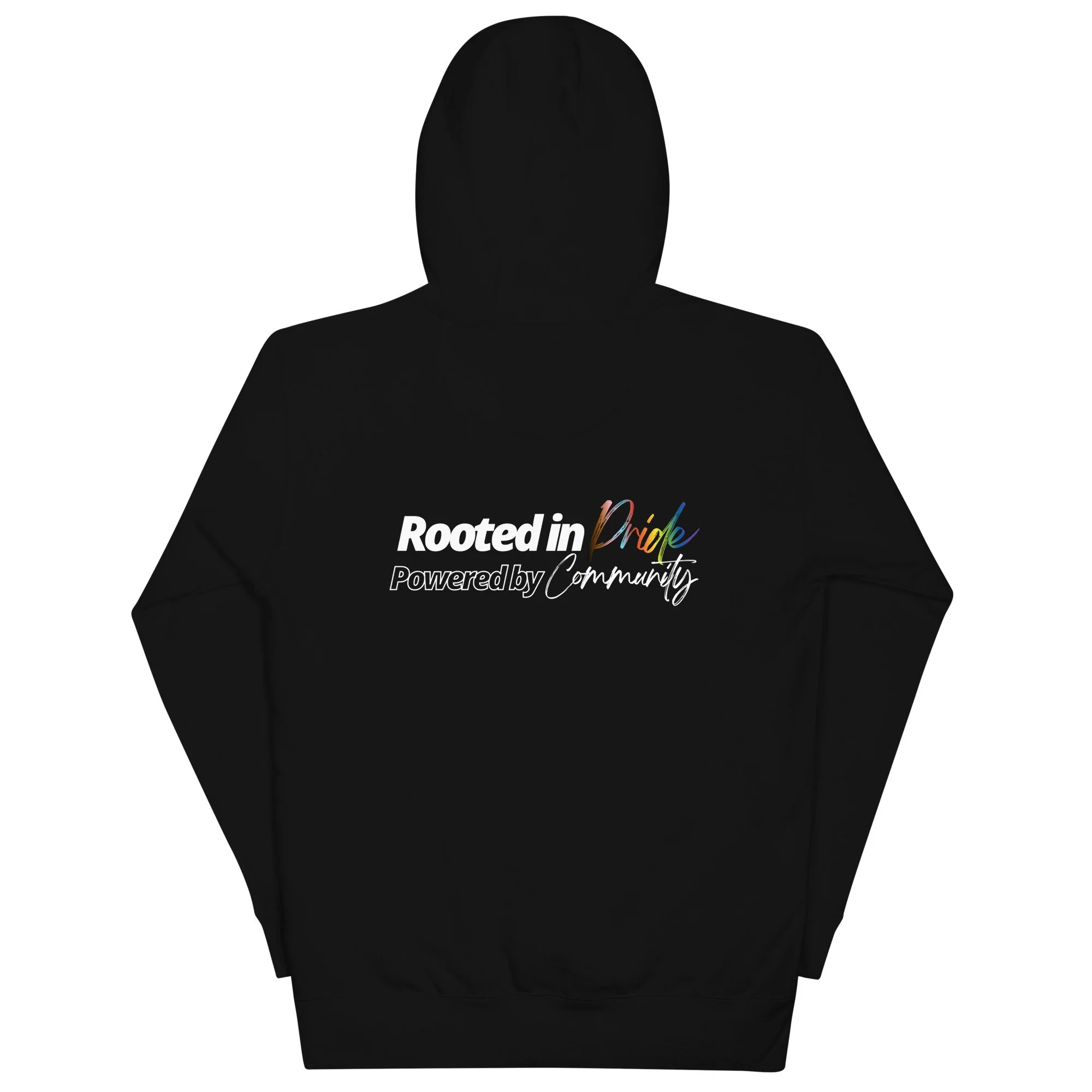 unisex-premium-pullover-hoodie-black-back-69ce867e25da4.jpg