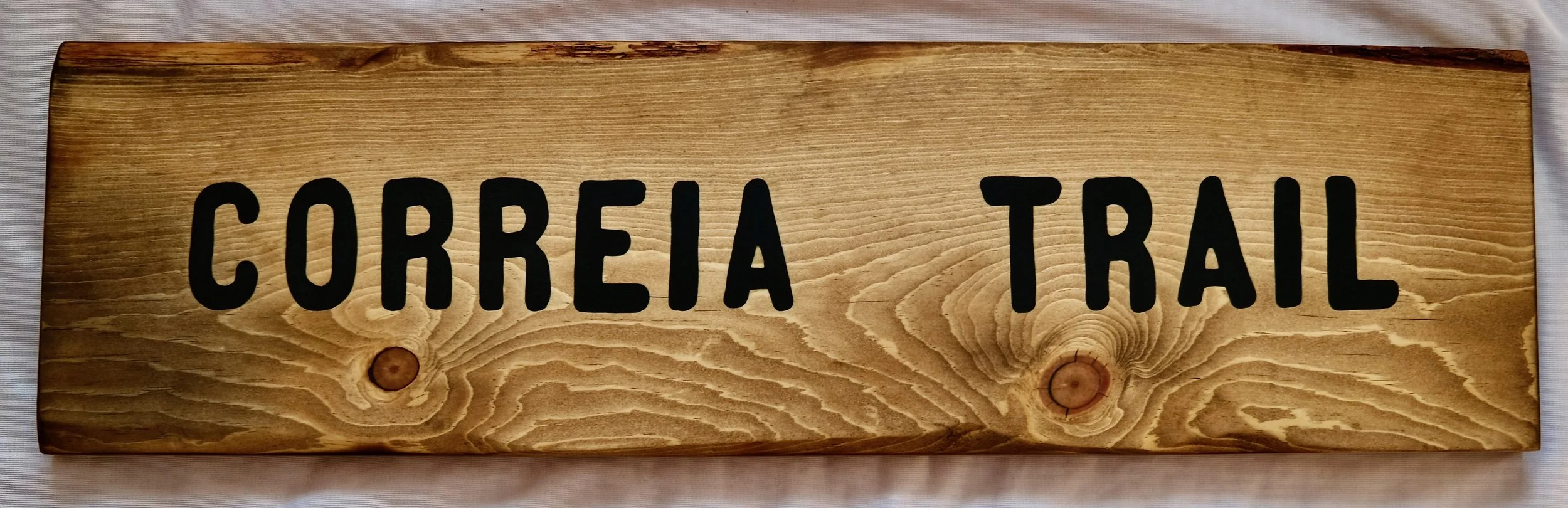 Personalized Trail Signs - Local Ponderosa Pine + Epoxy + Finish Oil