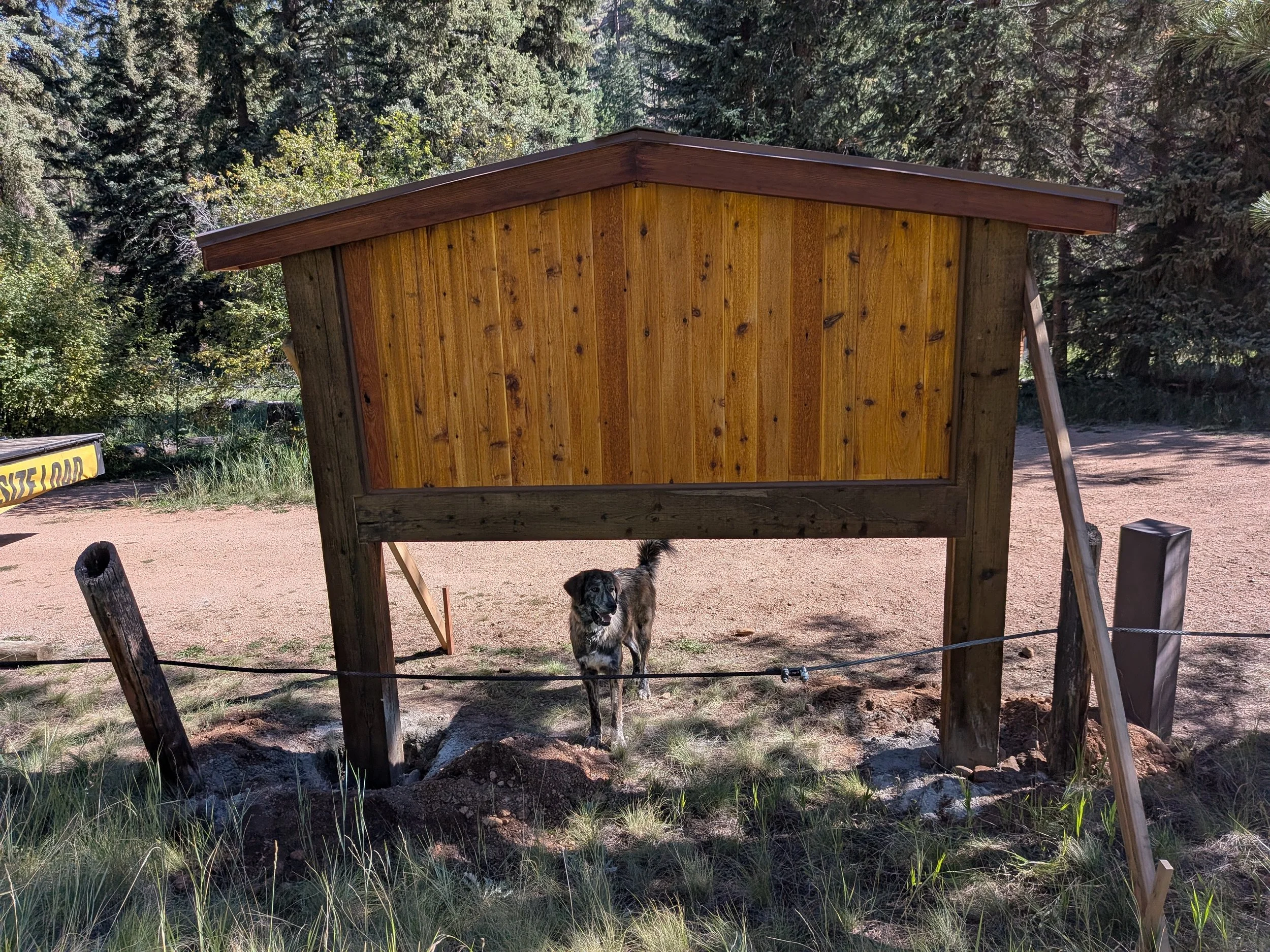 @ Goose Creek, Pike National Forest