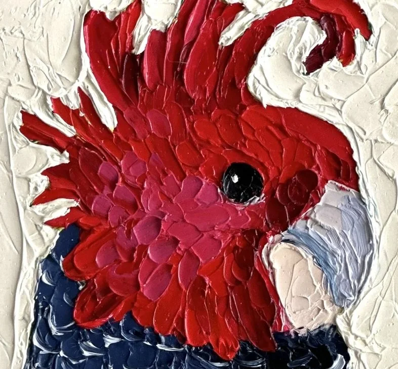A close up of Gilly, a 20cm x 20cm textured oil painting of an Australian Gang-gang Cockatoo, painted by Cassie Holmes