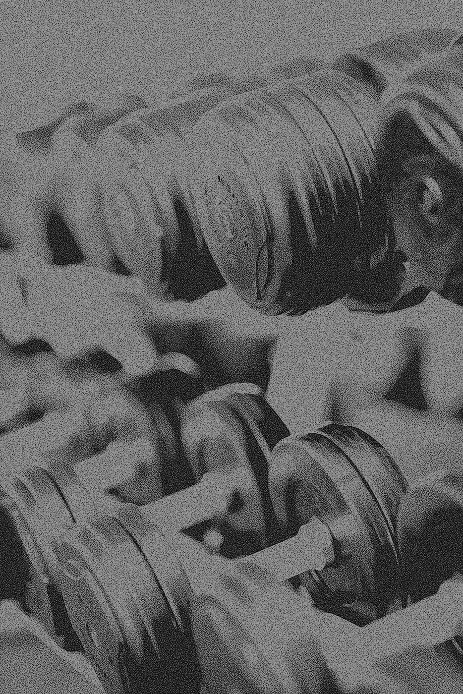 pexels-pixabay-260352-web.jpg