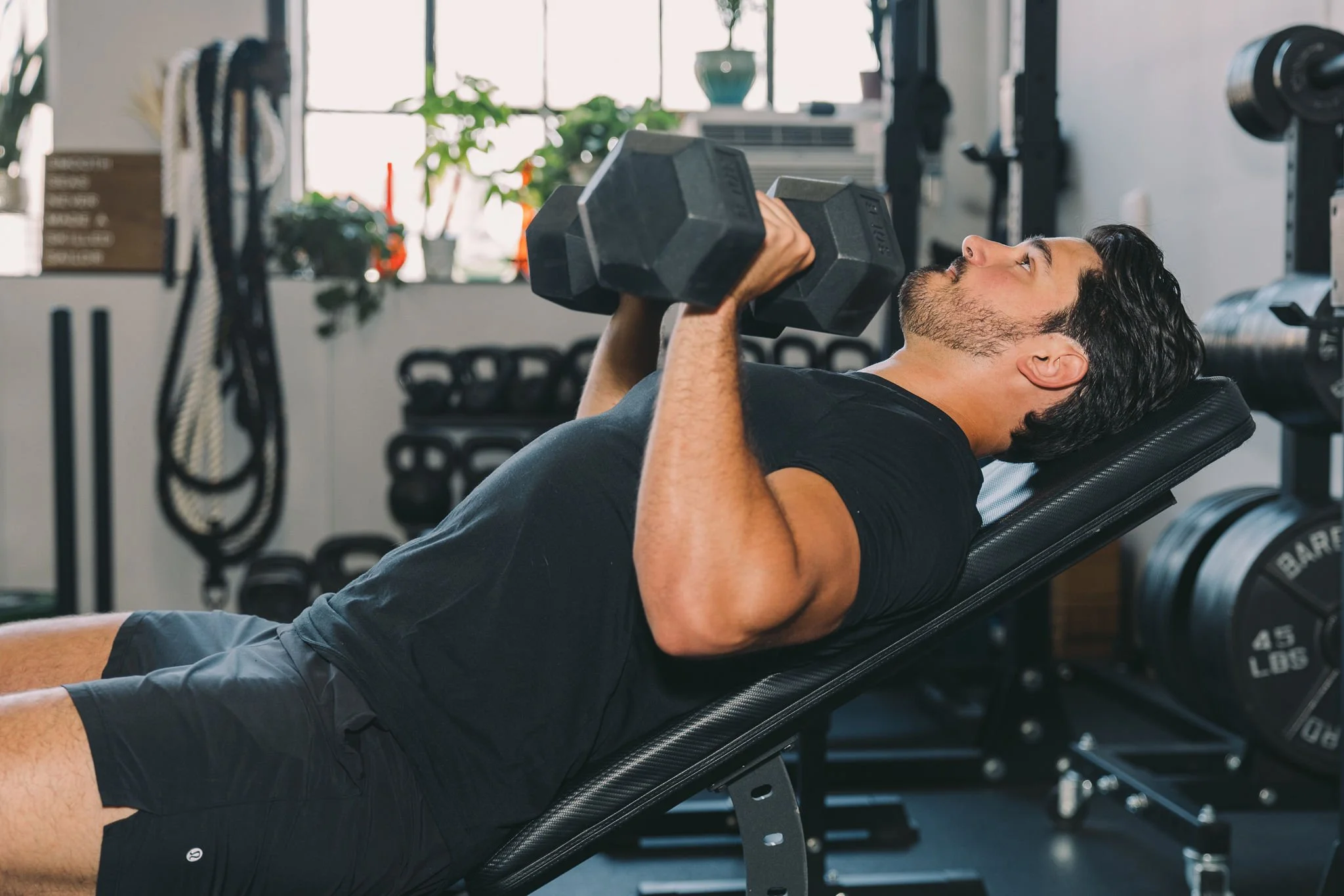 Training Programs — Modern Meatheads