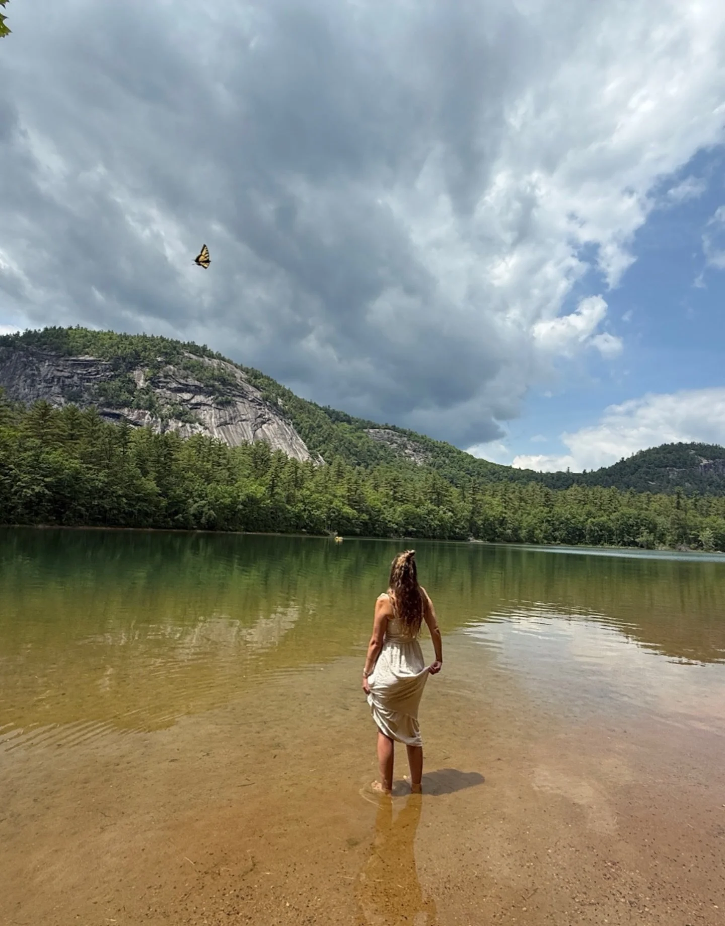 I spy with my big blue eyes a gorgeous yellow butterfly soaring past - reminding me with awe, connection, and wisdom that no matter where I go or what I do, I am always divinely looked after. 🥹

To me, yellow butterflies often feel like a little hel