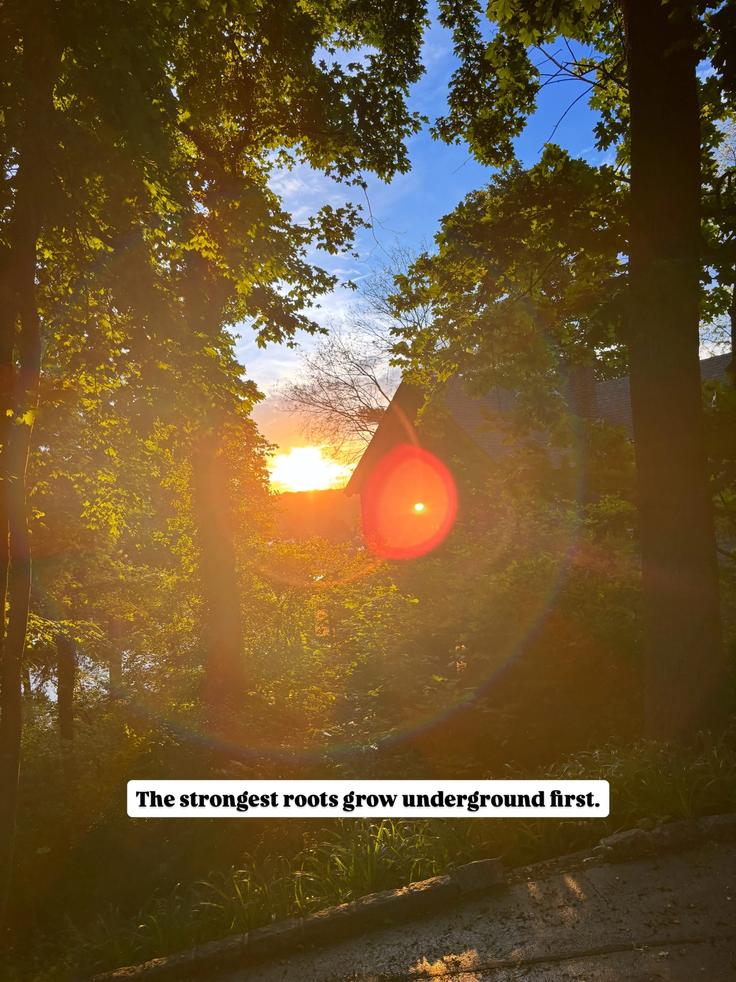 As we step into a new month and move through the energy of the Sagittarius Full Moon, I keep returning to one truth:

Not everything meaningful happens where others can see it. 🦋

Some of the most important growth happens underground &mdash; in the 