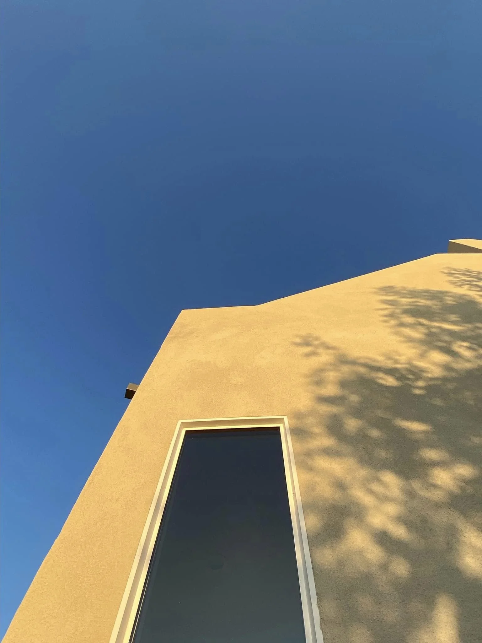 434132428_937810885020540_6808610765036360826_n.jpg