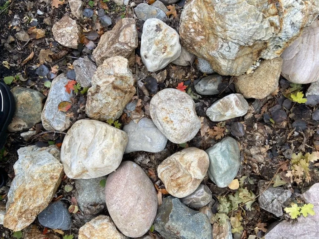 391738571_818706050264358_5569687148776075294_n.jpg