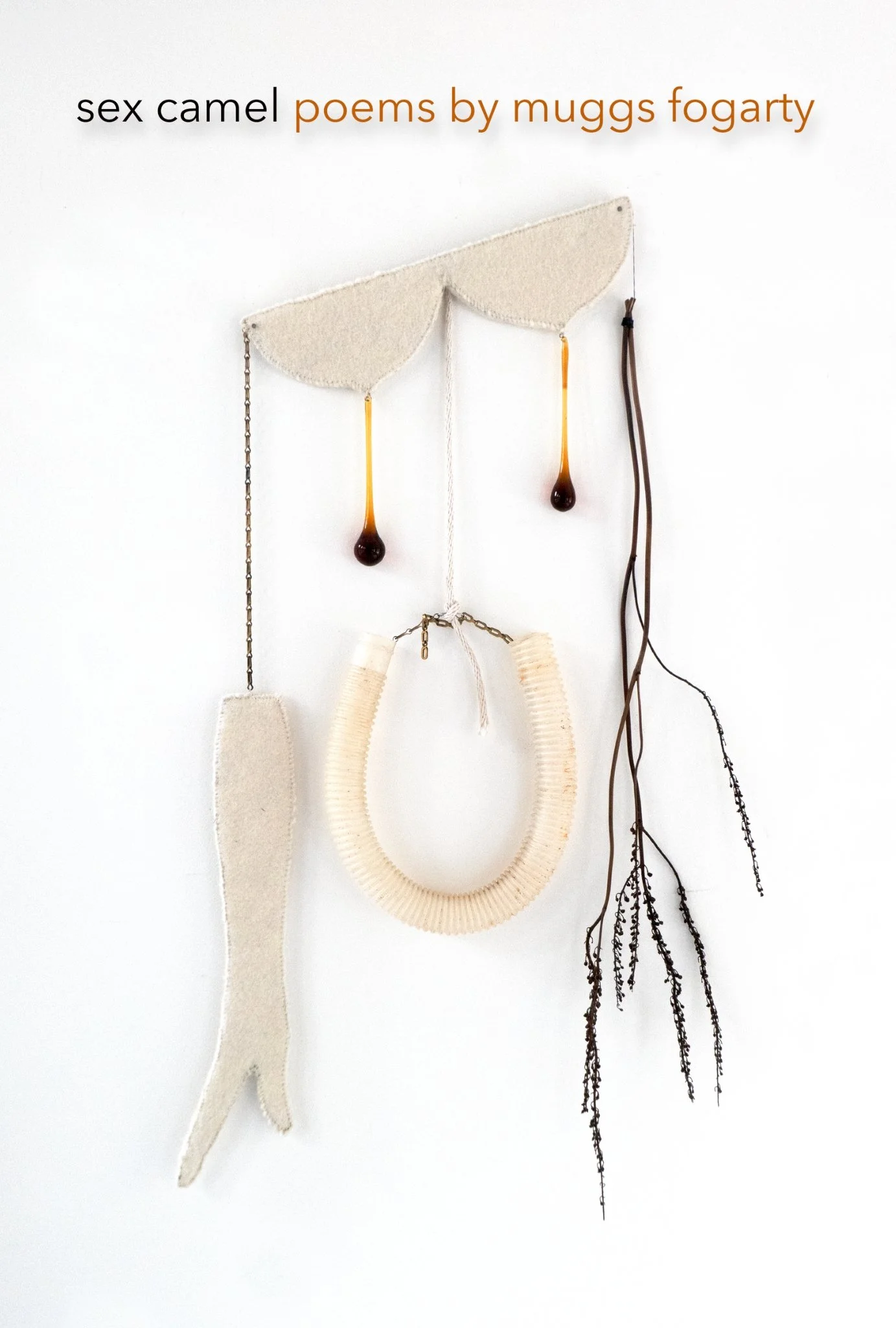 Sex Camel: Expanded Second Edition — Muggs Fogarty