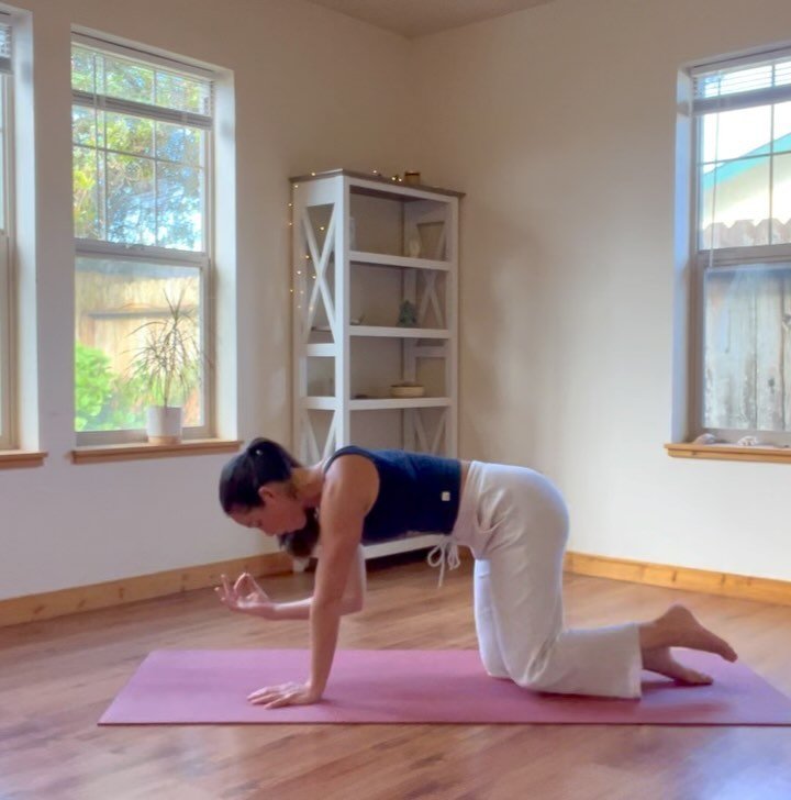 New Wake-up Flow just added to the Solshine library ☀️

Start your morning with this 20 min feel-good class that gets your blood flowing, helps your digestive system, and sets a positive tone for the day!

In the meantime try these&hellip;.

Clip 1 ~