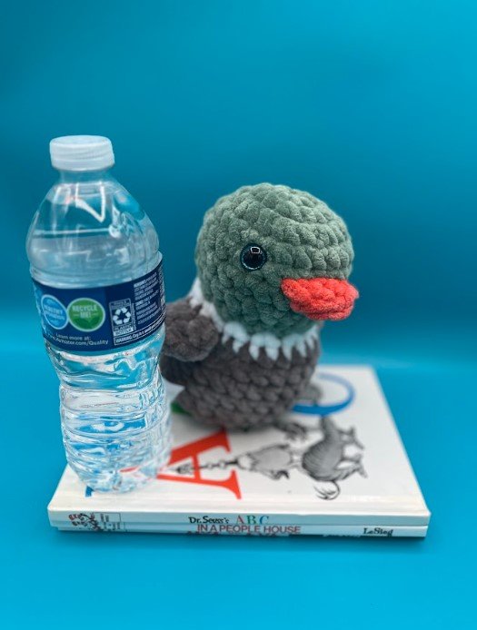 Duck 4.jpg