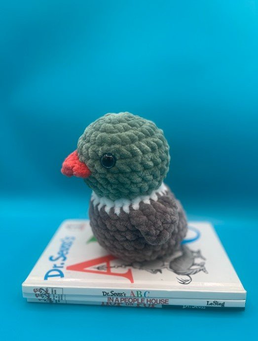 Duck 1.jpg