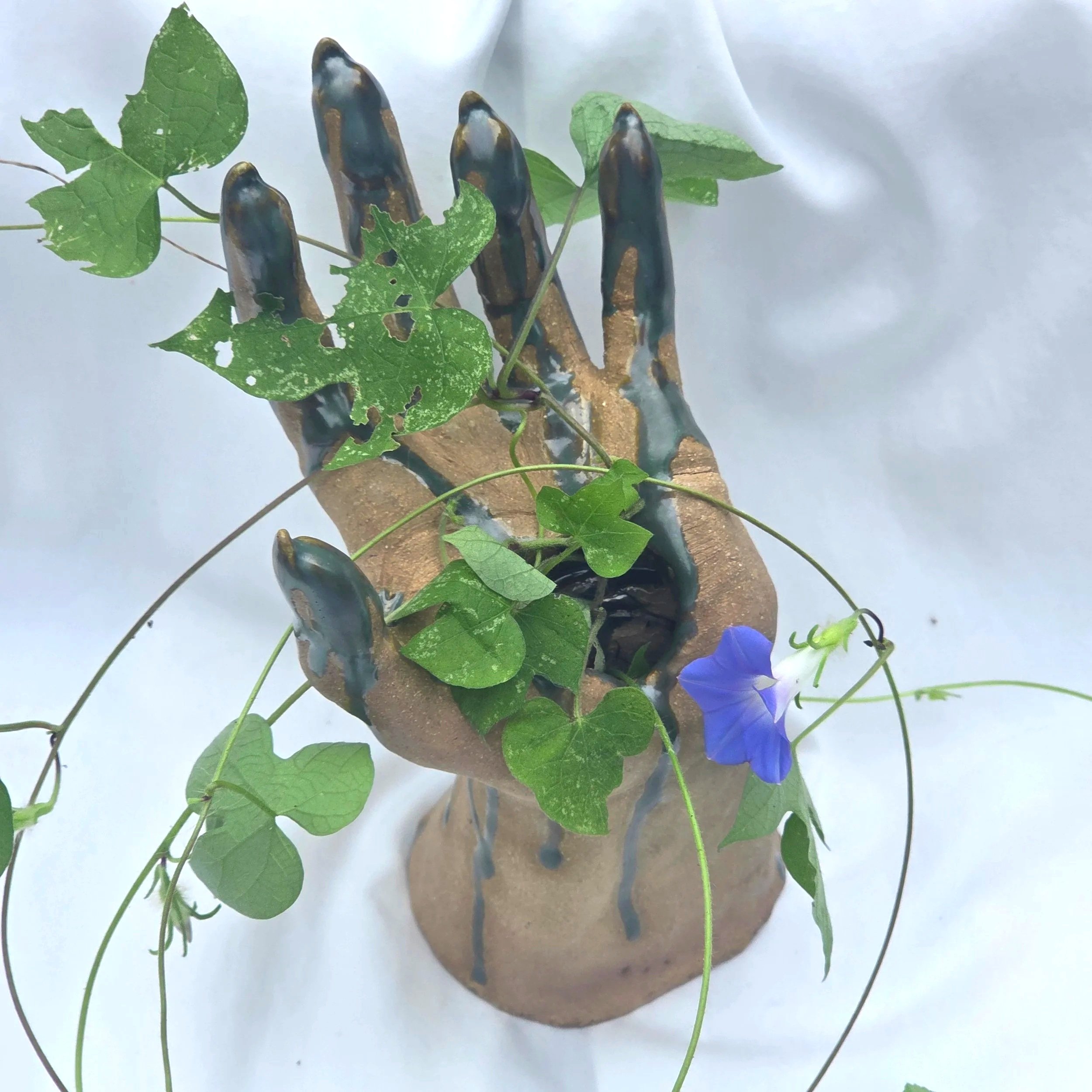 20250801_110721.jpg