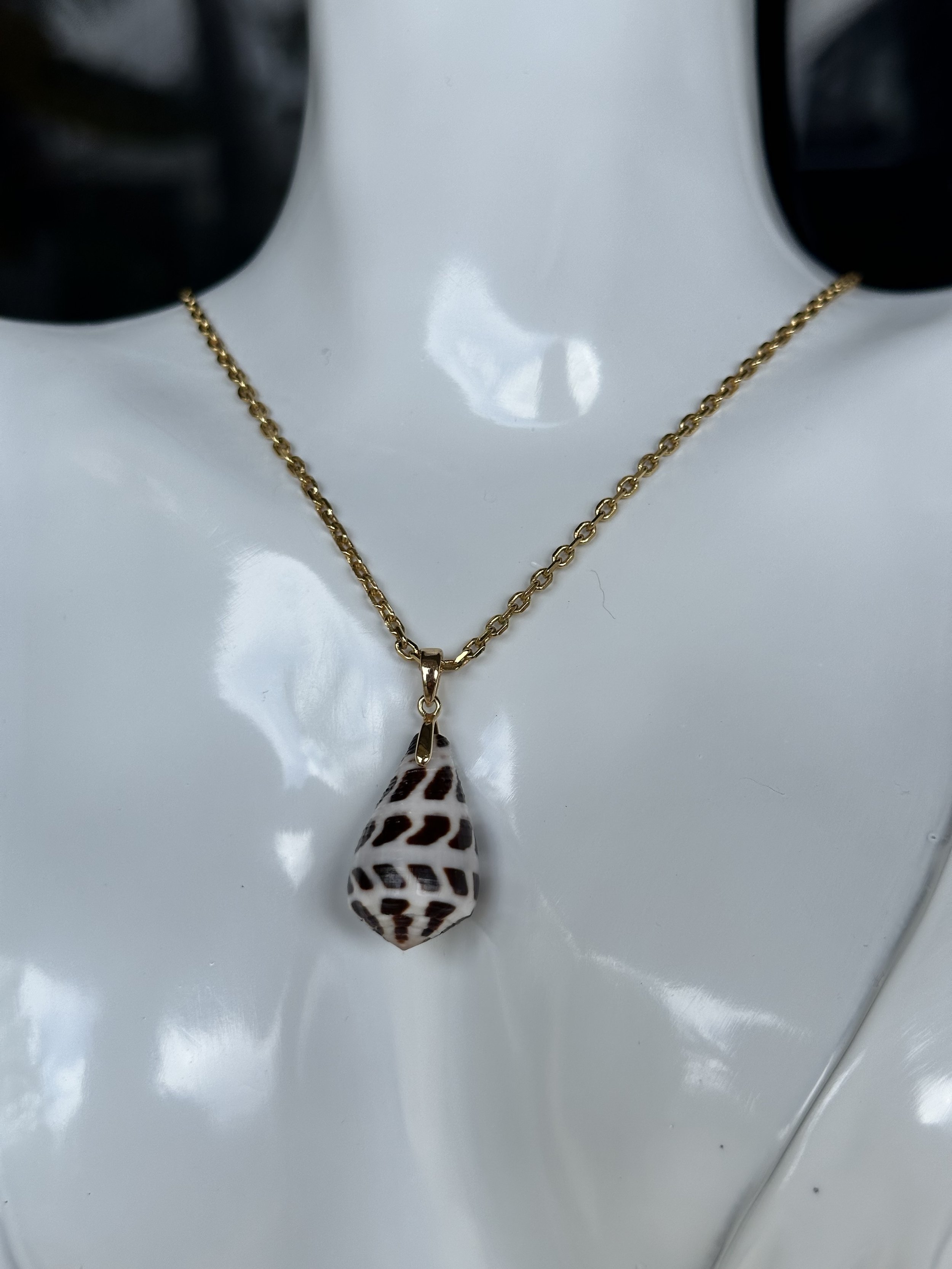 Hebrew Cone Shell Necklace