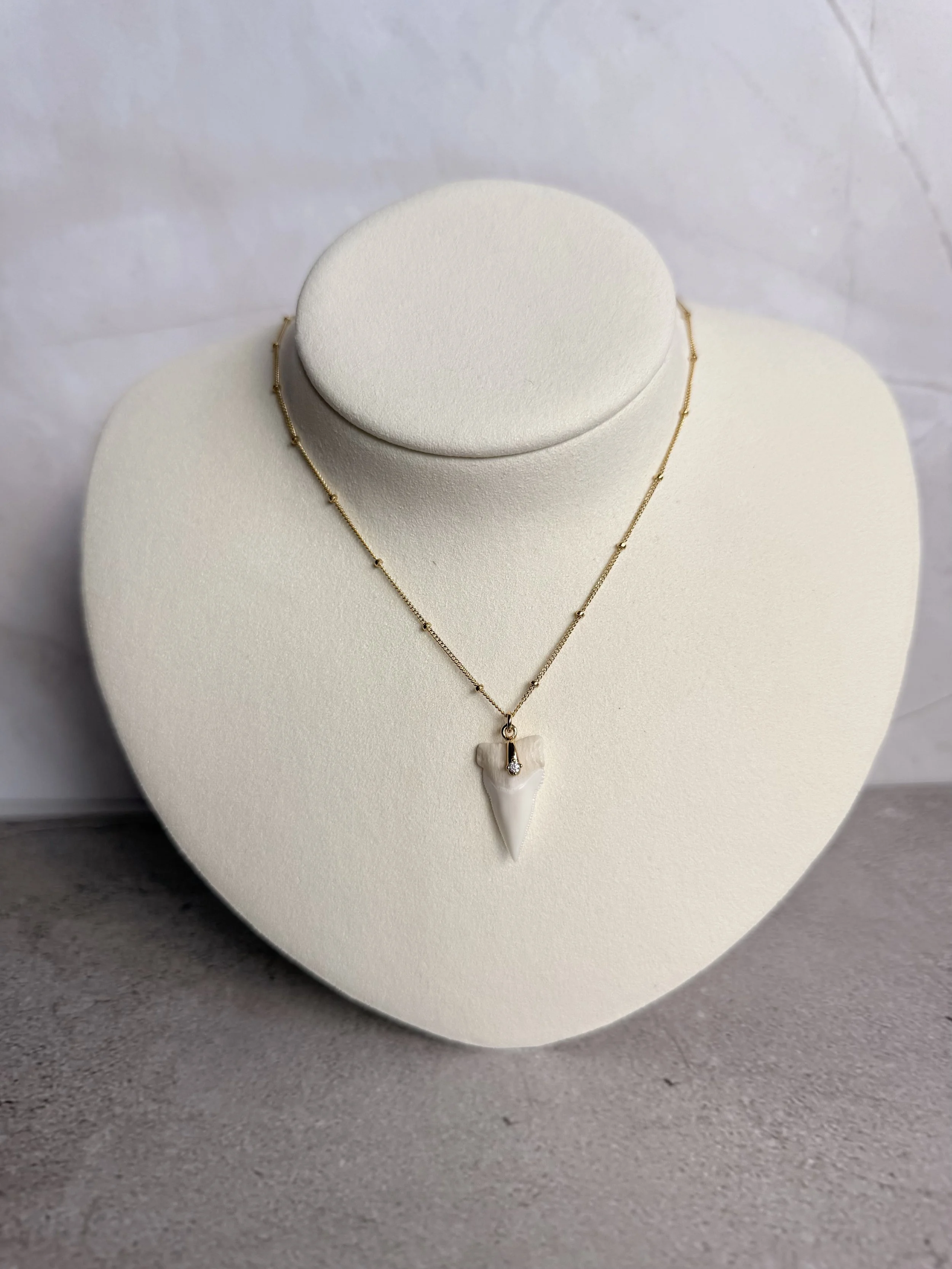 Mako Shark Tooth Necklace