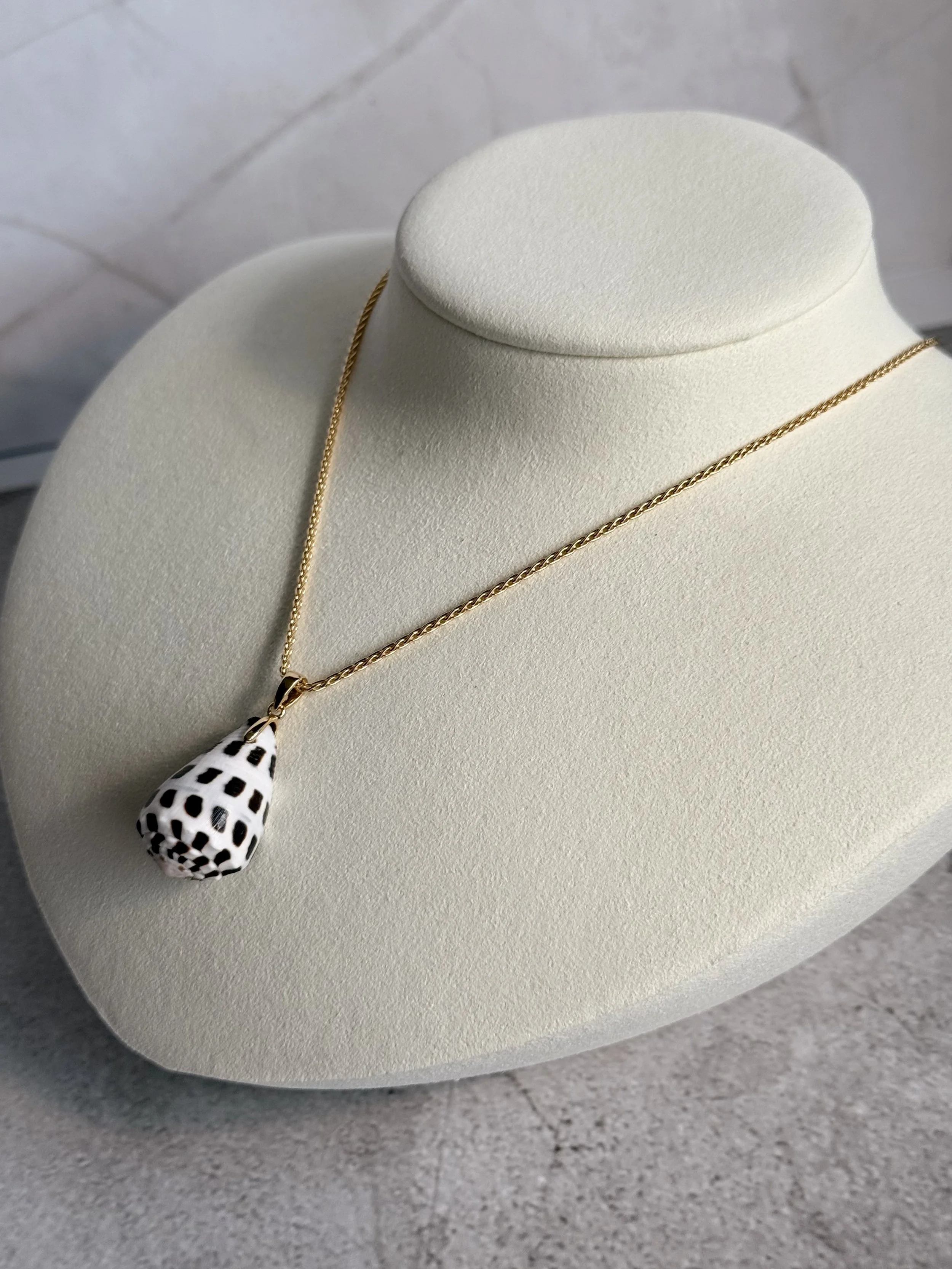 Hebrew Cone Shell Necklace