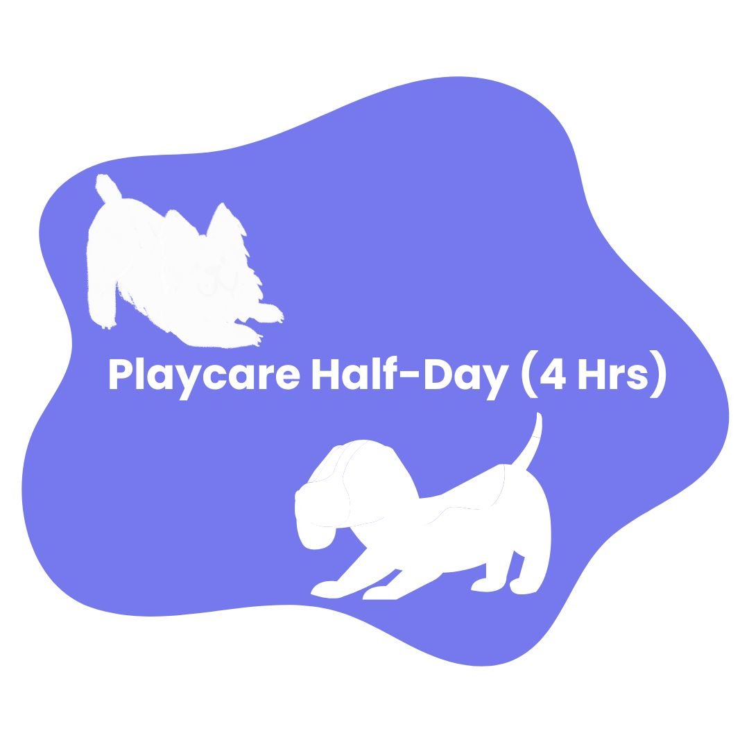 Playcare Half-Day (4 Hrs)