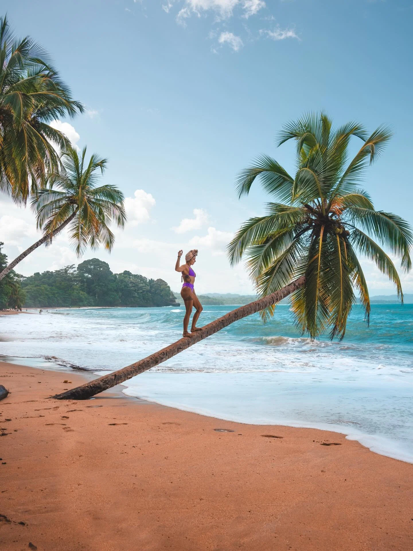 Sweet sweet spot in the Caribbean coast of Costa Rica 

@sonora.jungleretreat 

#caribe #caribbean #costarica #puertoviejo #travel #exploremore