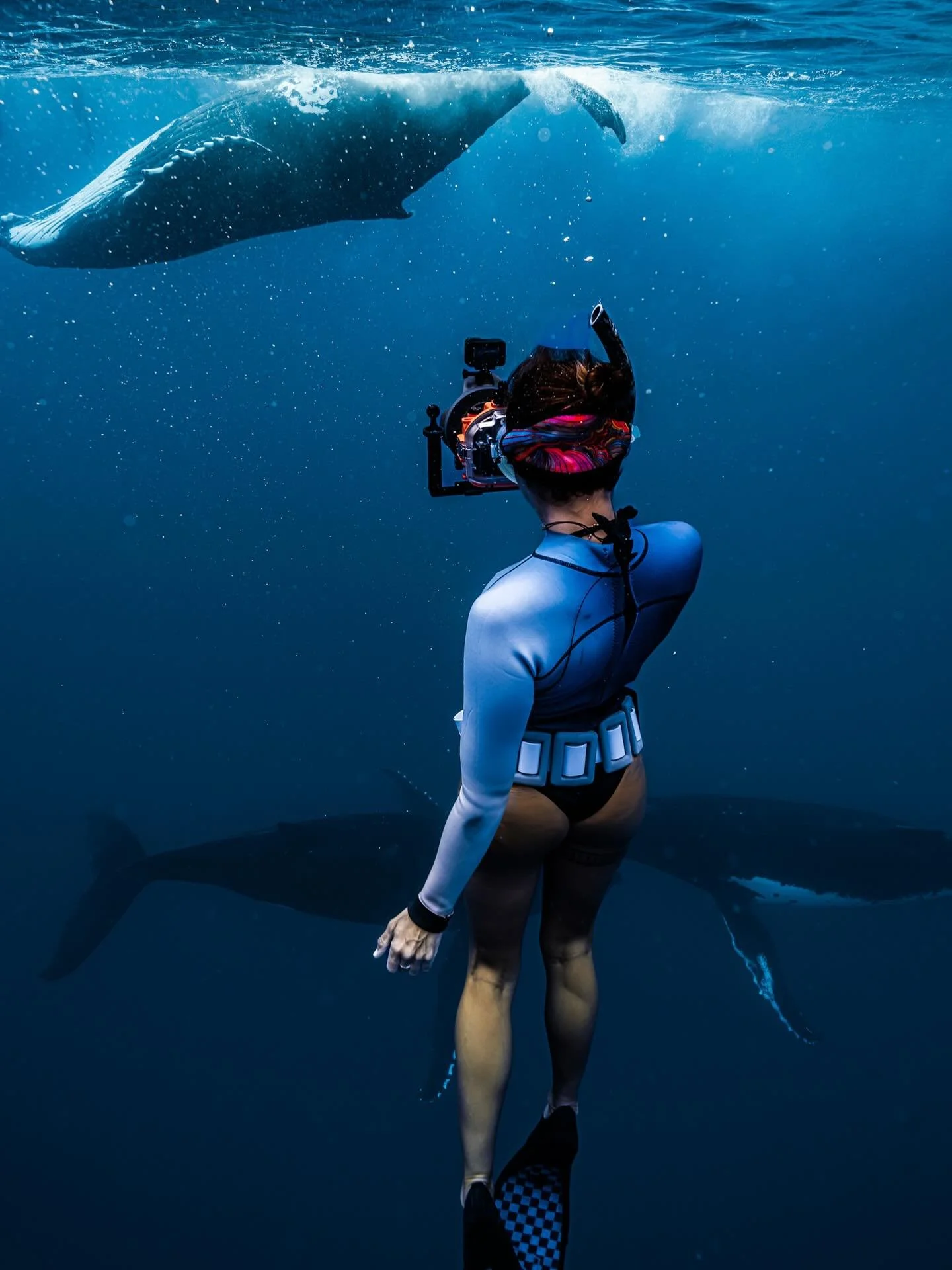 I flew to the middle of the pacific ocean four years ago and it was life changing. This is one of the reasons why 🥹

If you&rsquo;re interested in a week long adventure with like minded people, journal sessions to tap into your soul, mind blowing ex