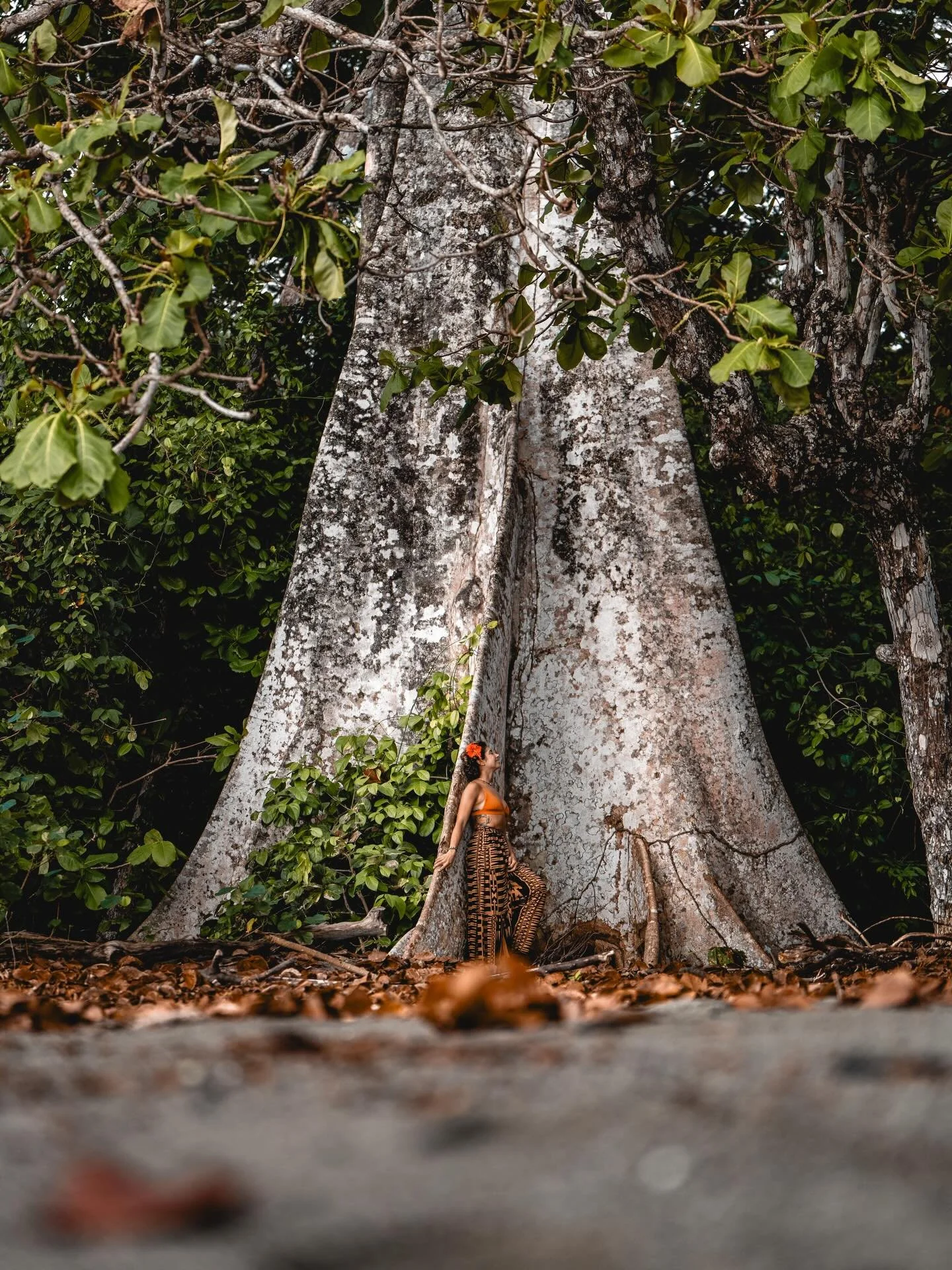 &ldquo;Look deep into nature and you will understand everything better&rdquo; 🌞

@deshoots and I were fortunate enough to have spent a weekend at one of most biodiverse regions of the world. We couldn&rsquo;t put our cameras down - What a sanctuary 