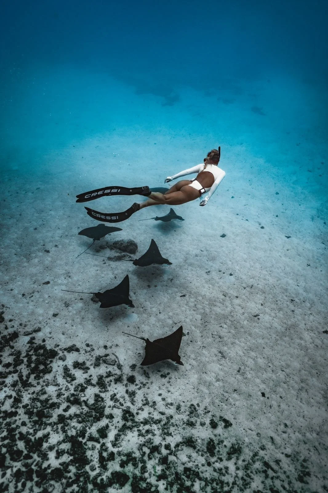 WhatsApp Image 2025-01-08 at 12.25.51 PM.jpeg