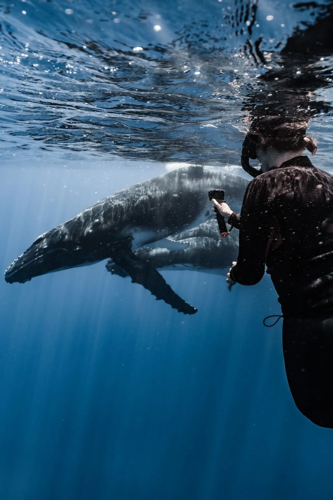 WhatsApp Image 2025-01-08 at 12.25.50 PM.jpeg