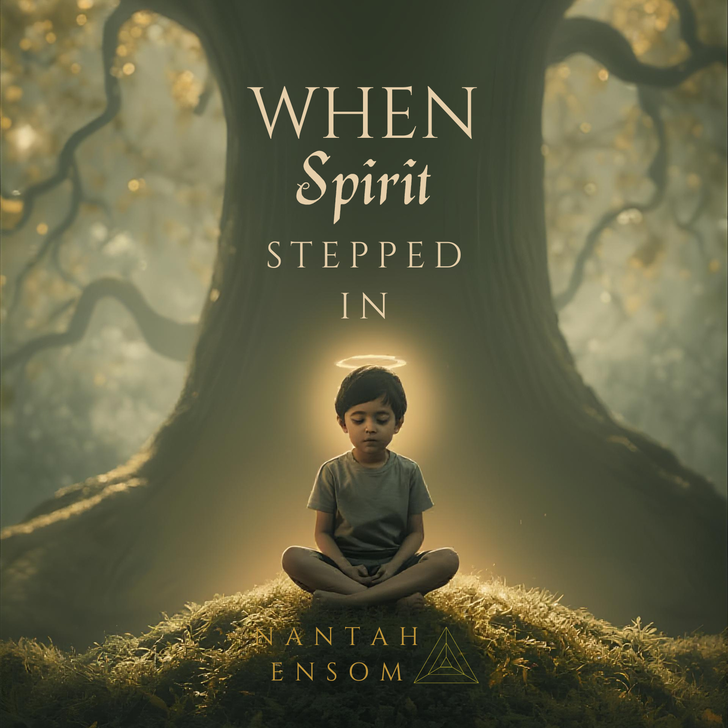 When Spirit Stepped In eBook