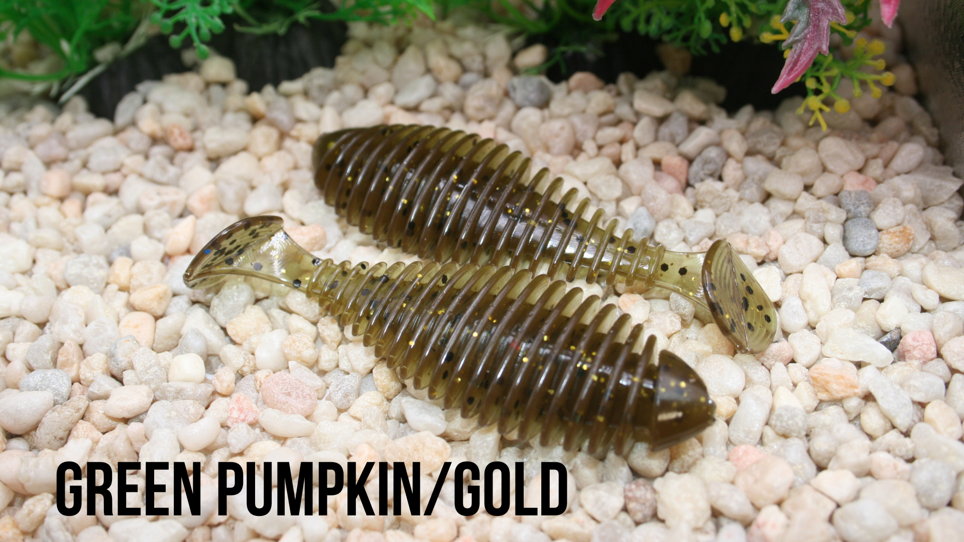 3.8_ Wiggle Green Pumpkin_Gold.png