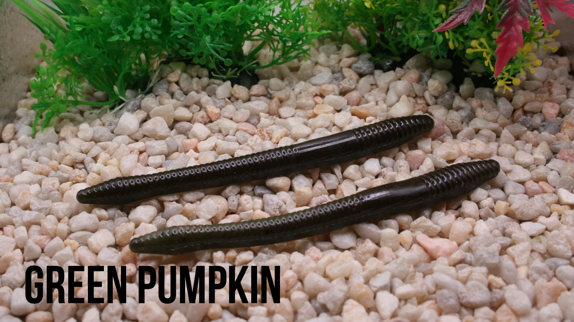finesse+worm1.jpg