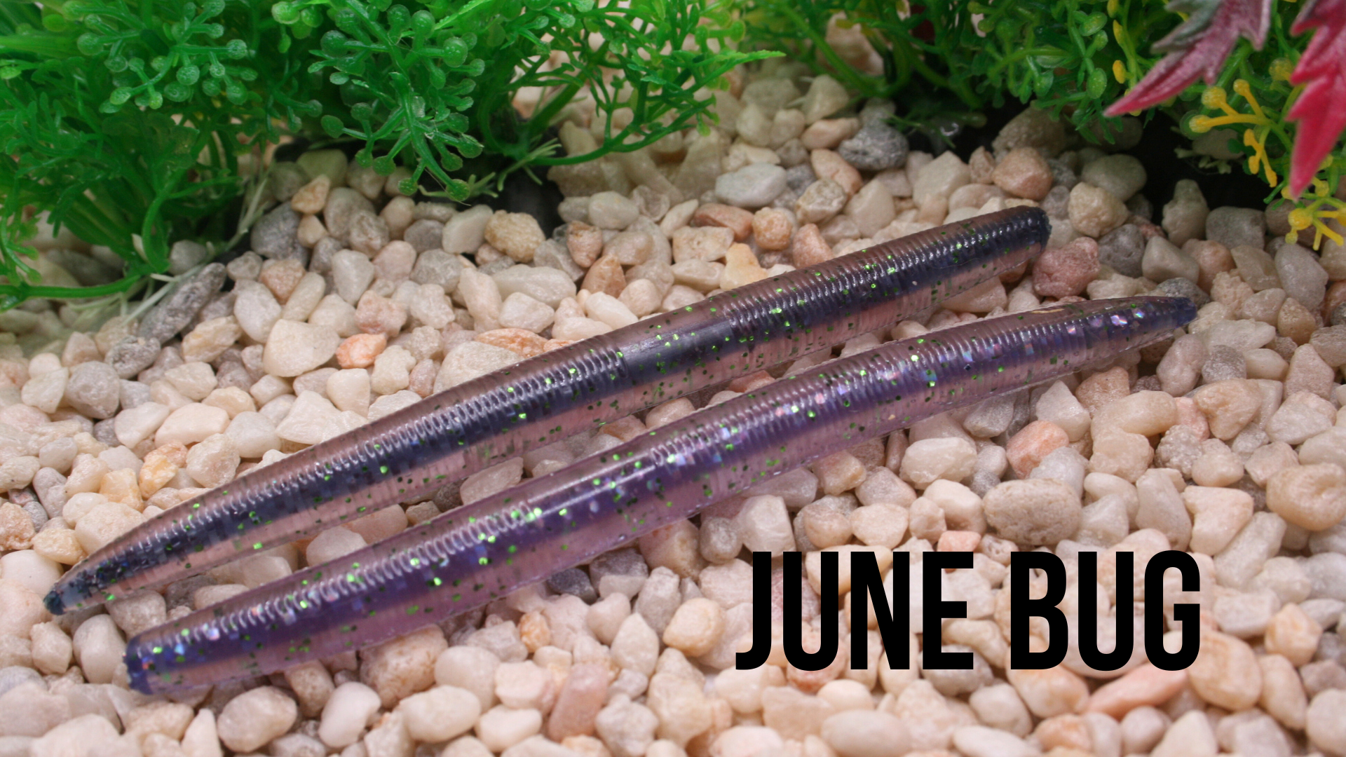 Core stick June bug.png