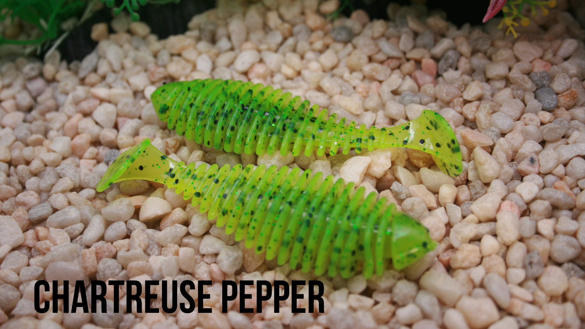 3.8_ Wiggle Chartreuse Pepper.png