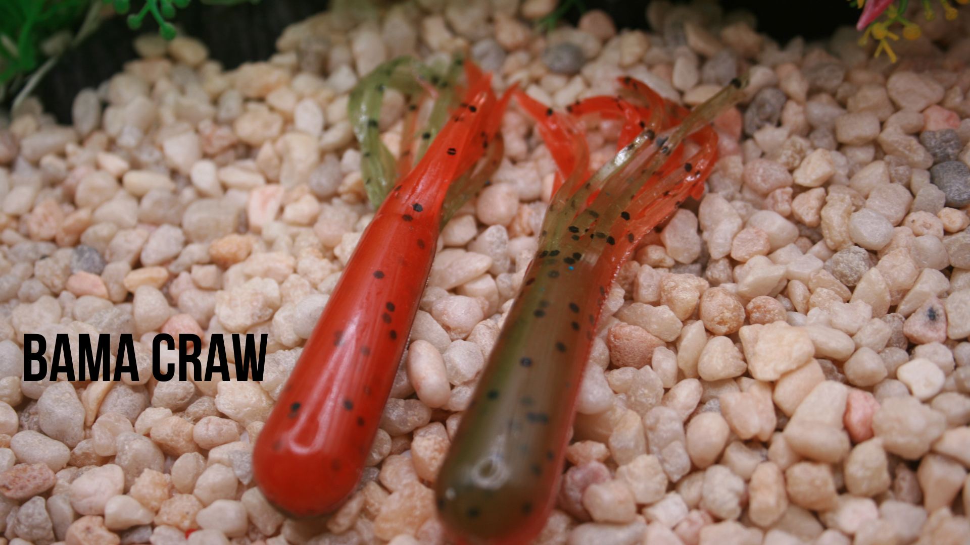 Tubes Bama Craw.png