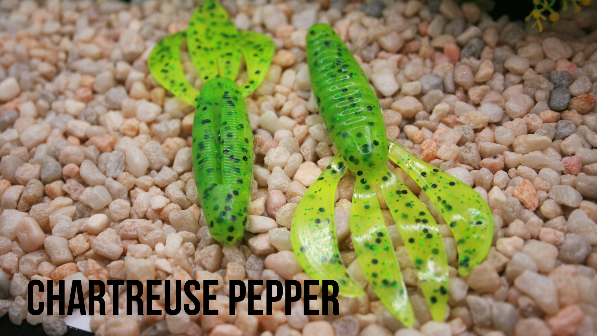 4.25_ Tail Hog Chartreuse Pepper.png