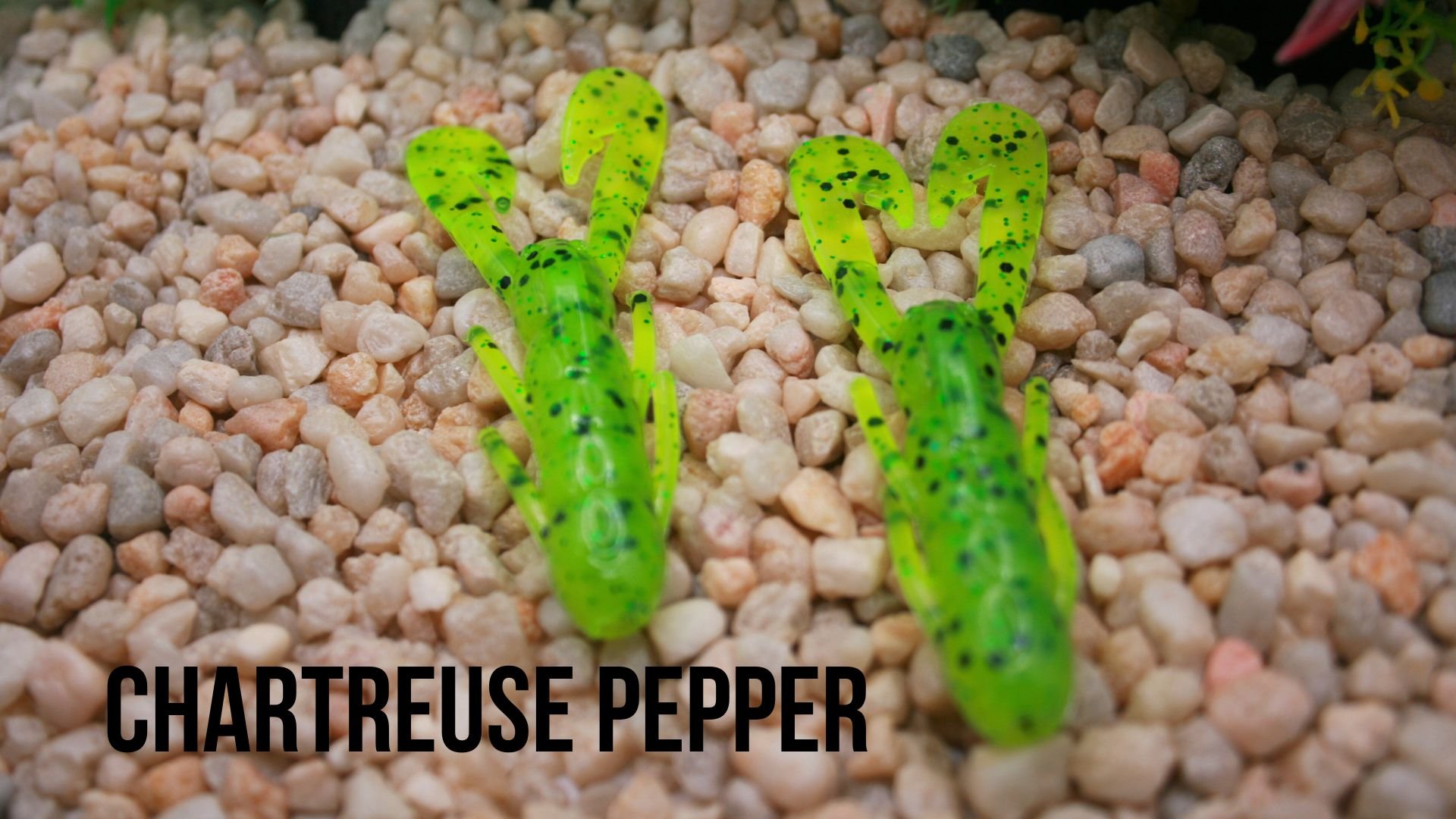 Speed Craw chartreuse pepper.jpg