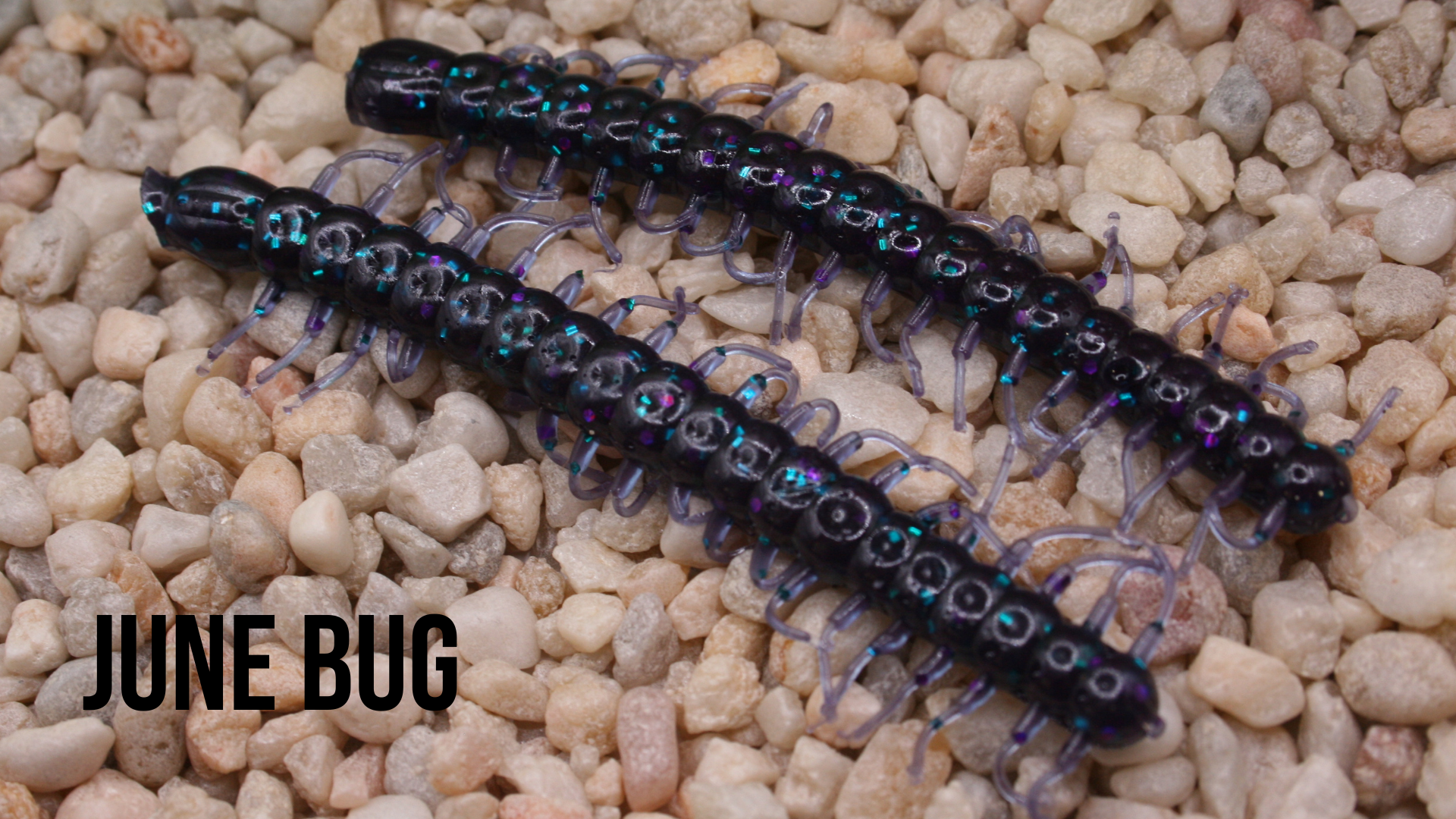 3.75%22 Centipede Crawler June Bug.png