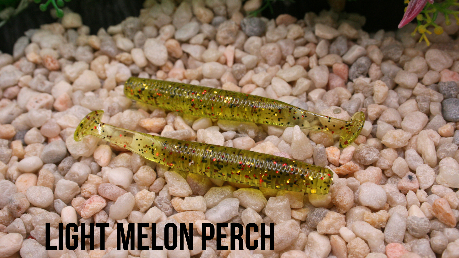 3.8 Nedder Swimmer lightmelonperch.png