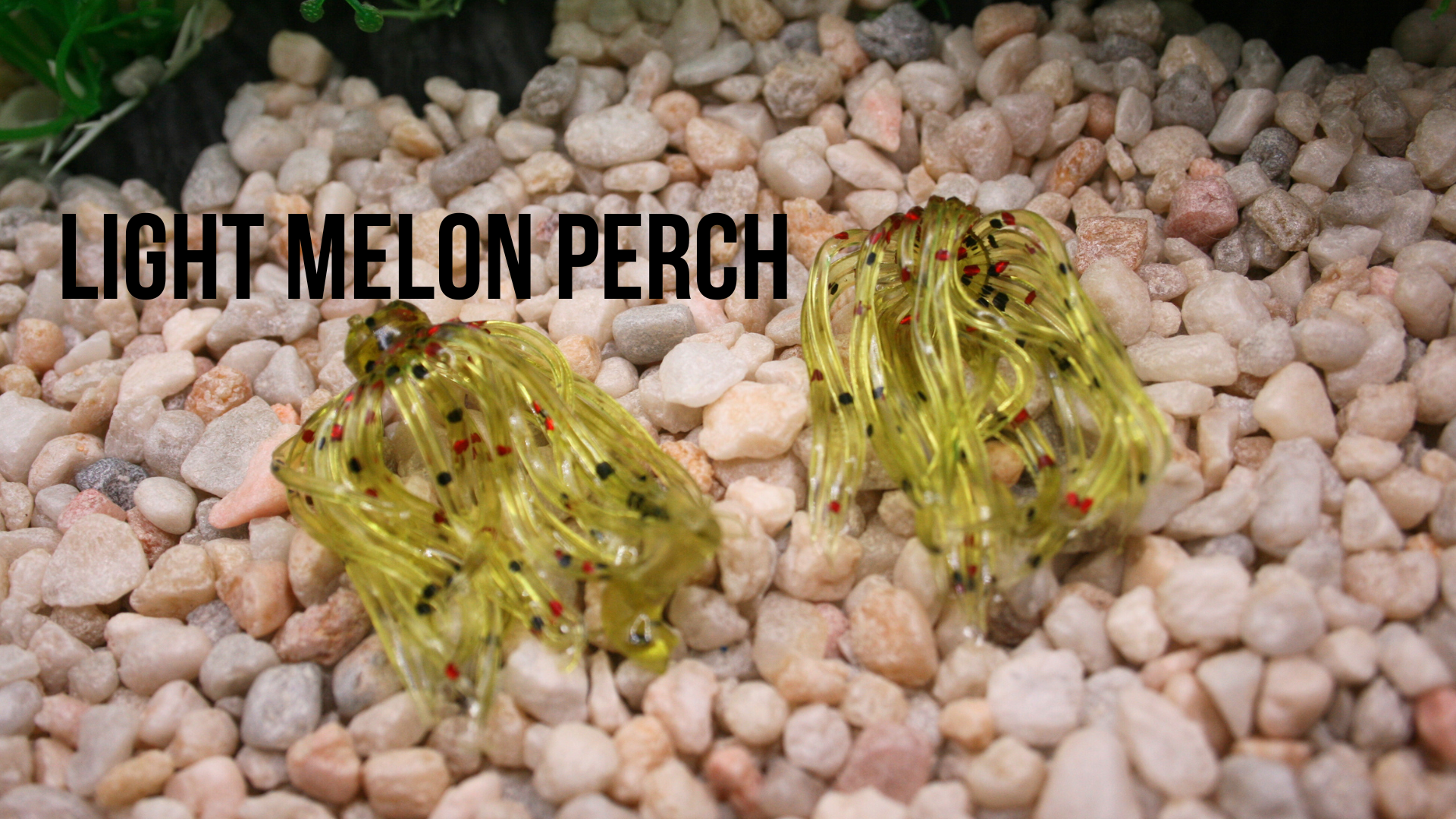 skirts light melon perch.png