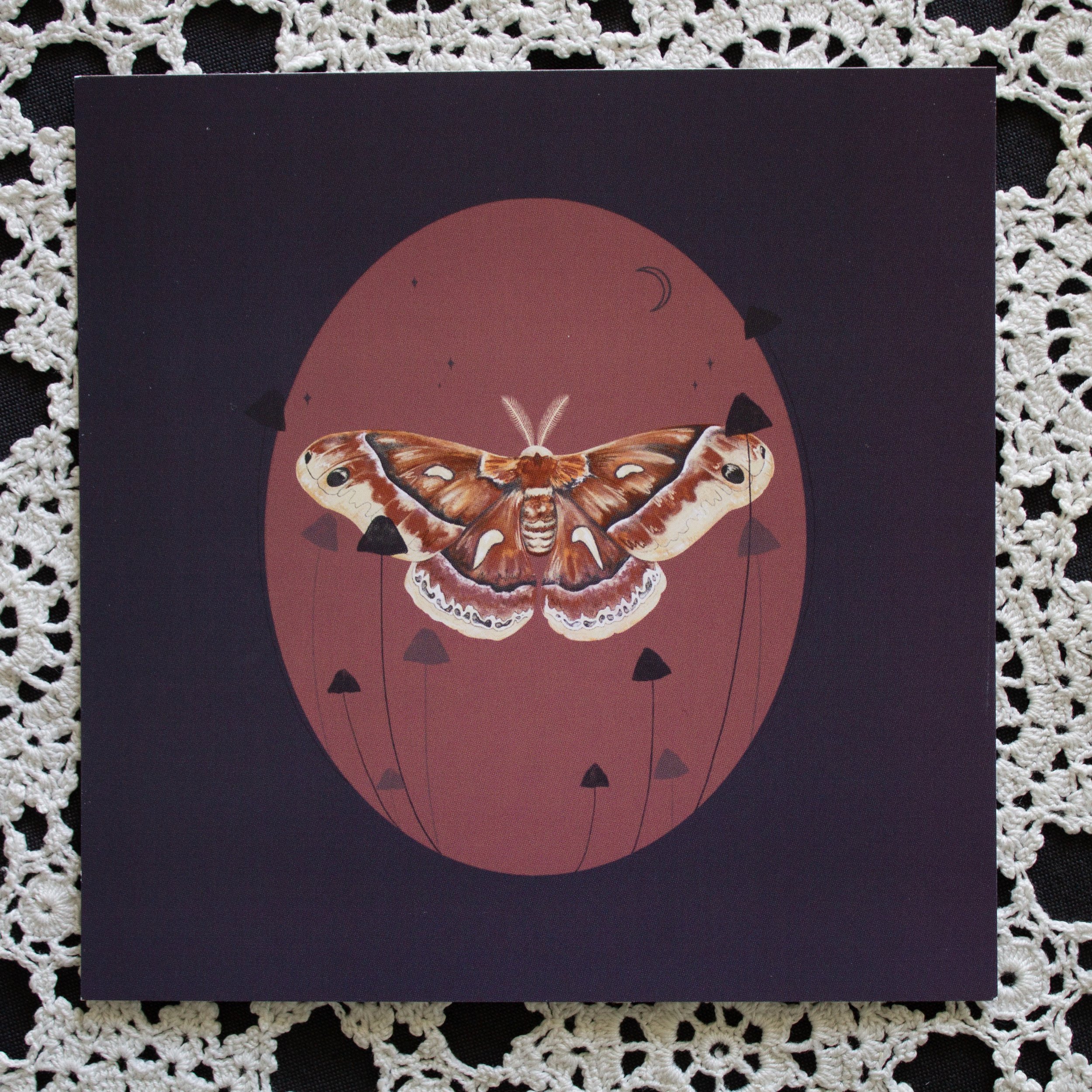 A postcard featuring a moth within a pink oval surrounded by mushrooms placed on top of a lace cloth