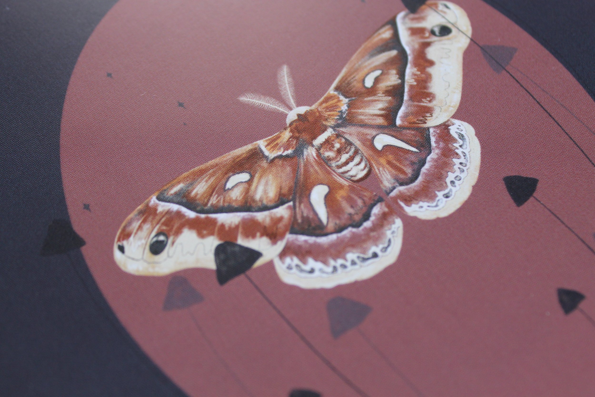 A closeup view of a digital illustration featuring a moth surrounded by mushrooms on a pink background