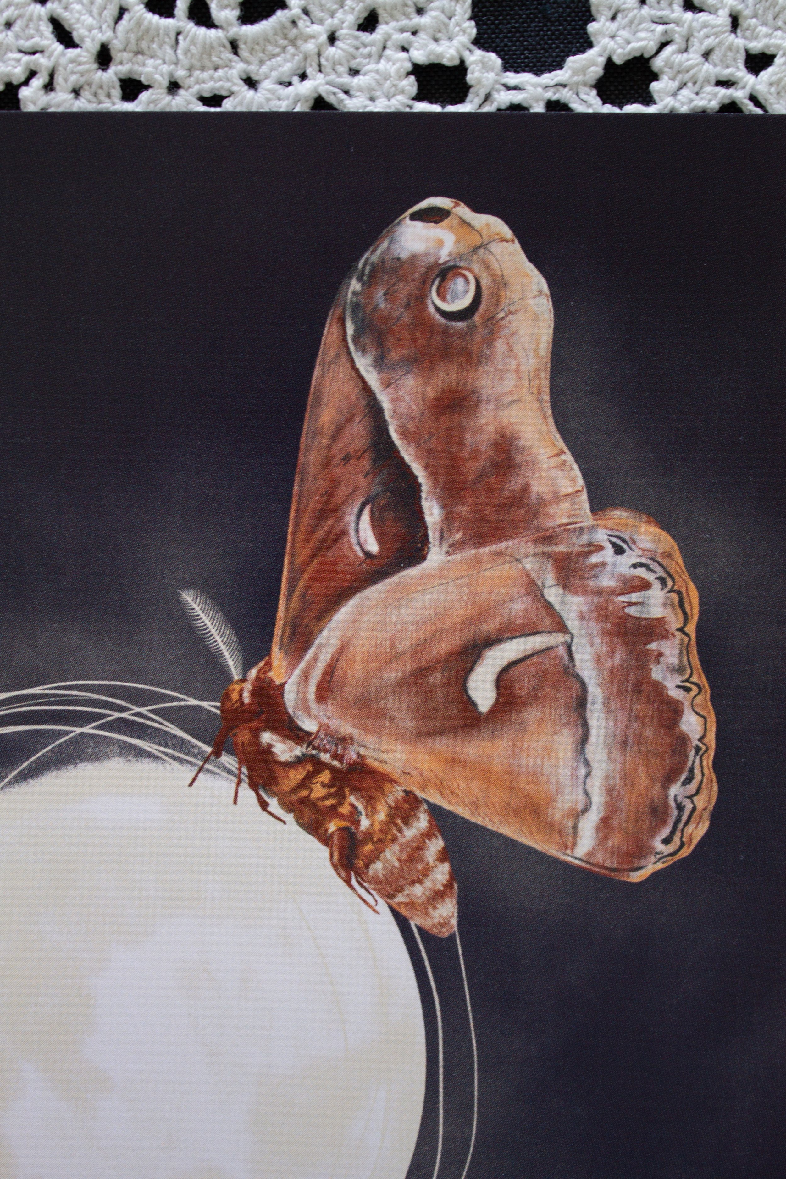 A closeup image of a digital illustration of a moth perched on top of the moon