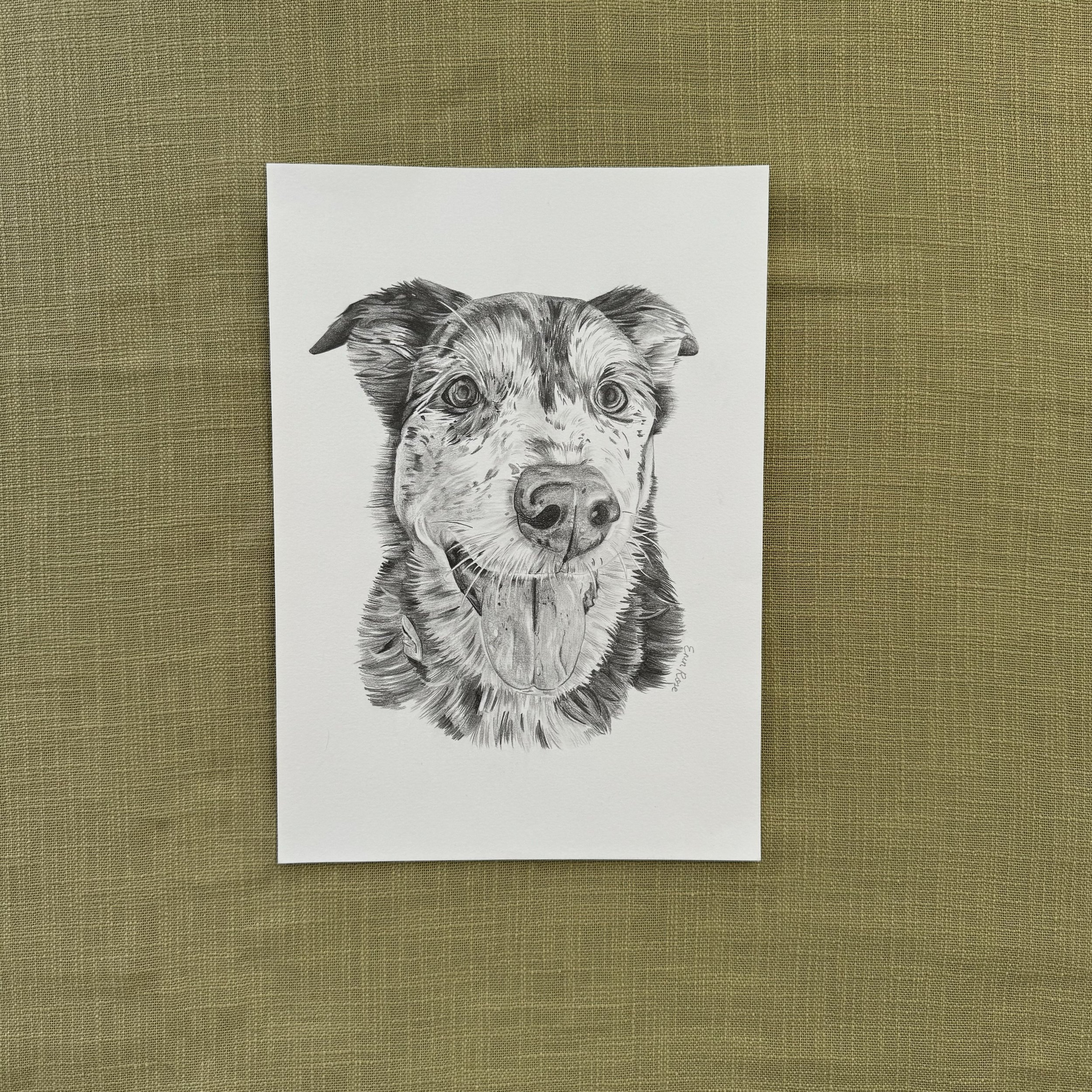 Dog 2 .jpg