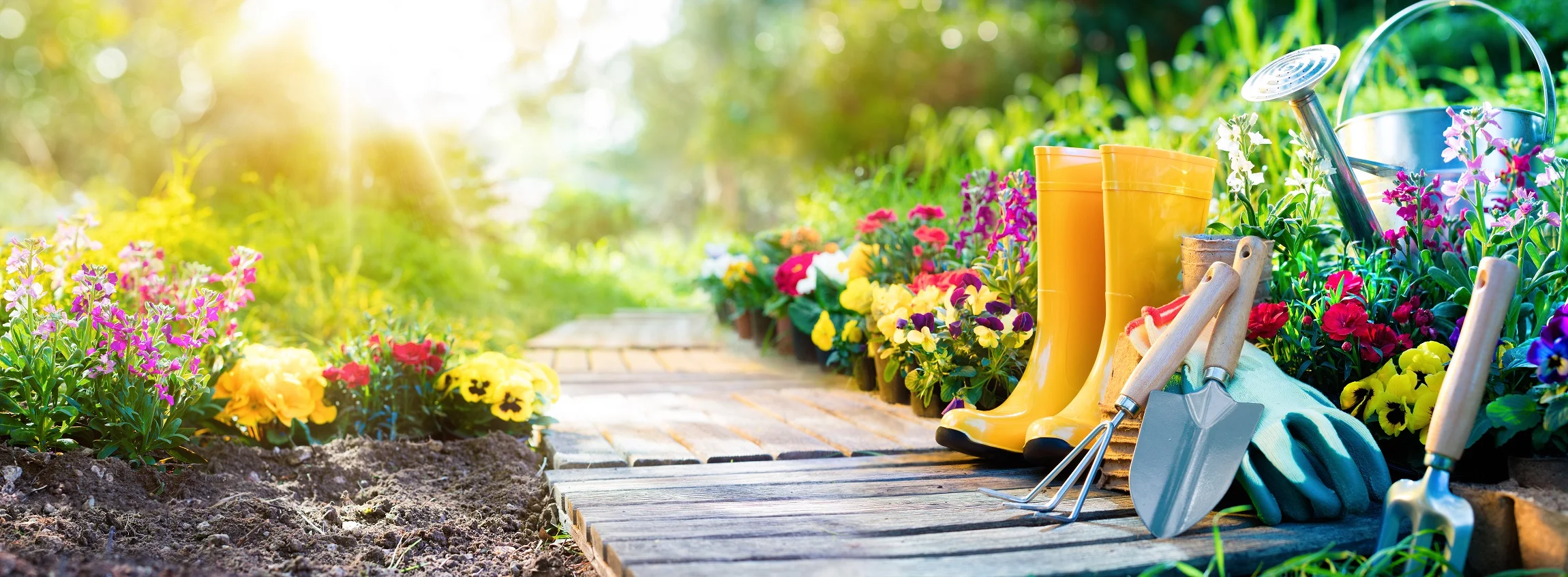 Garden small - Copy.jpg