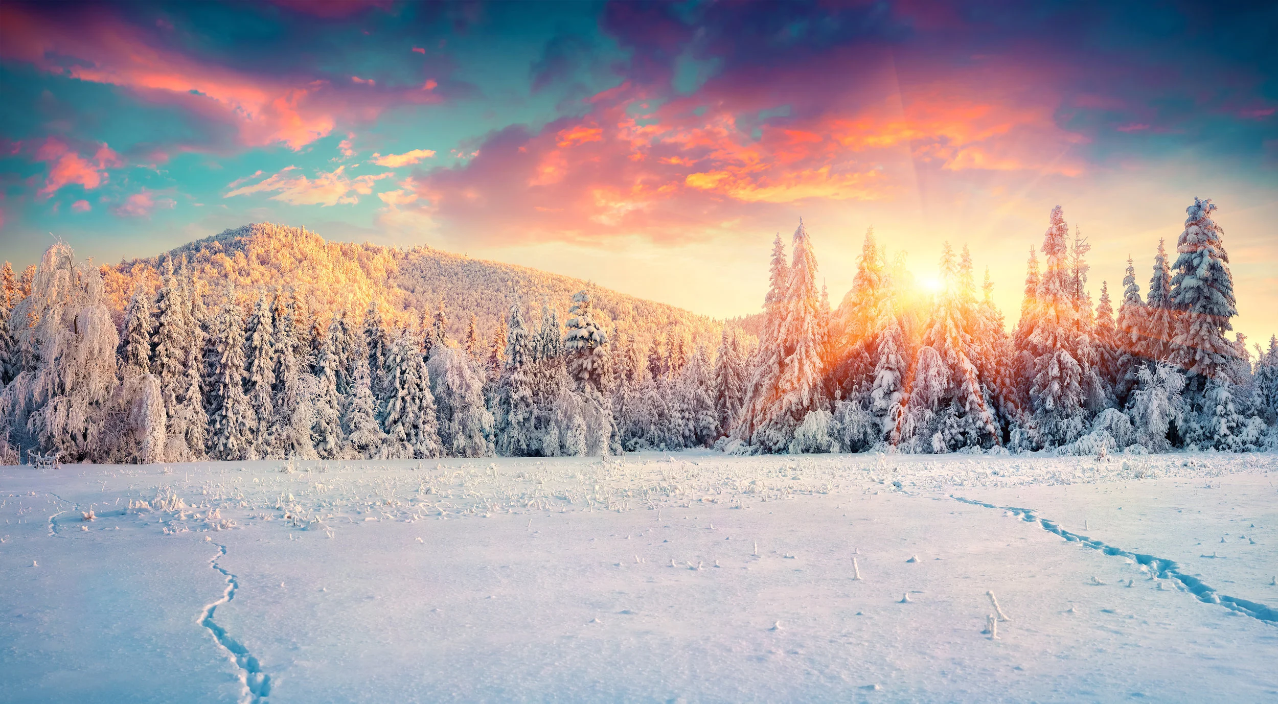  Changing Your Life is Not A New Year's Resolution