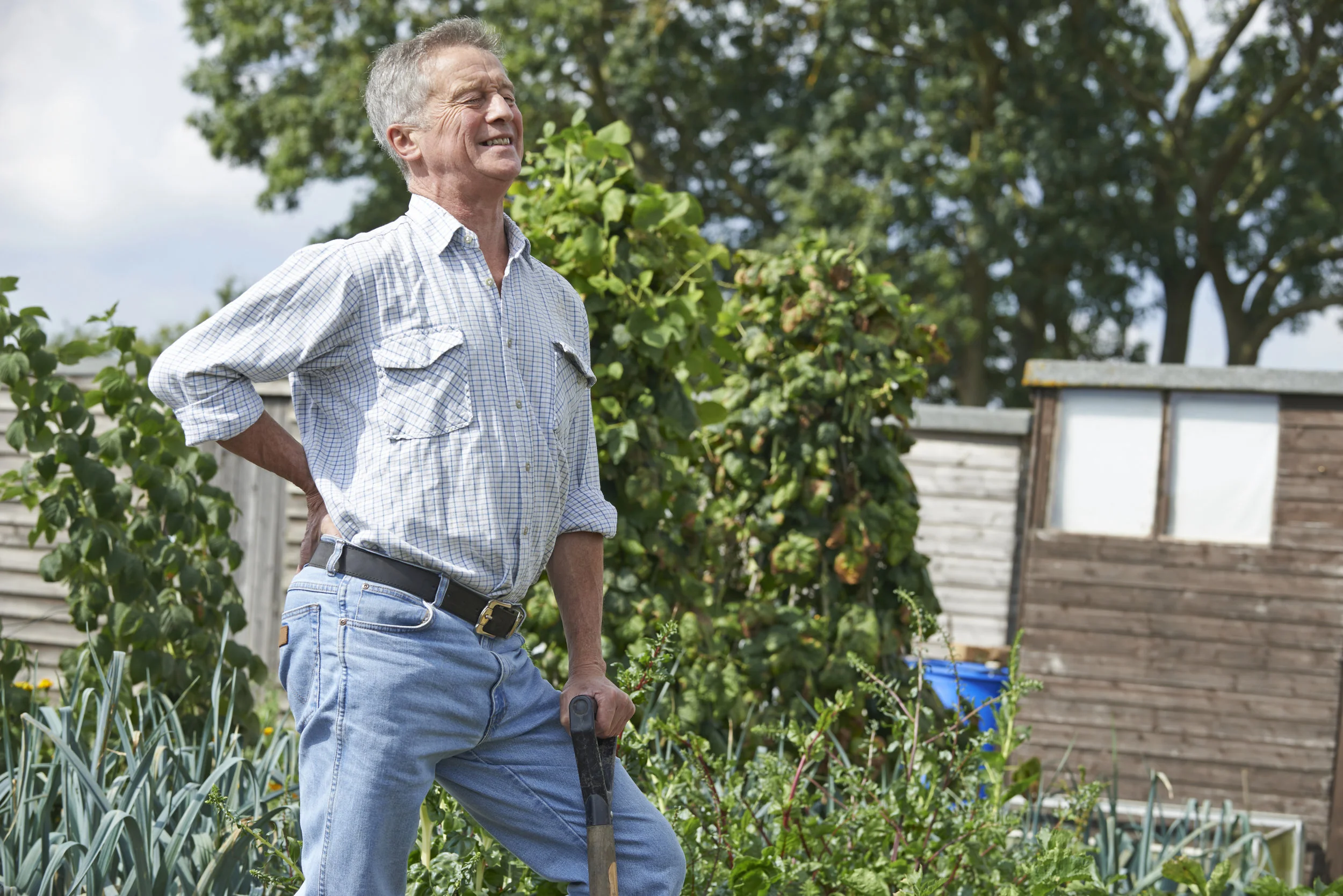 gardening sore back.jpg