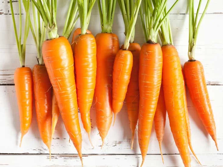 AN273-Carrots-732x549-Thumb.jpg