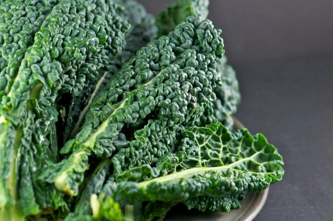 dinosaur-kale (1).jpg