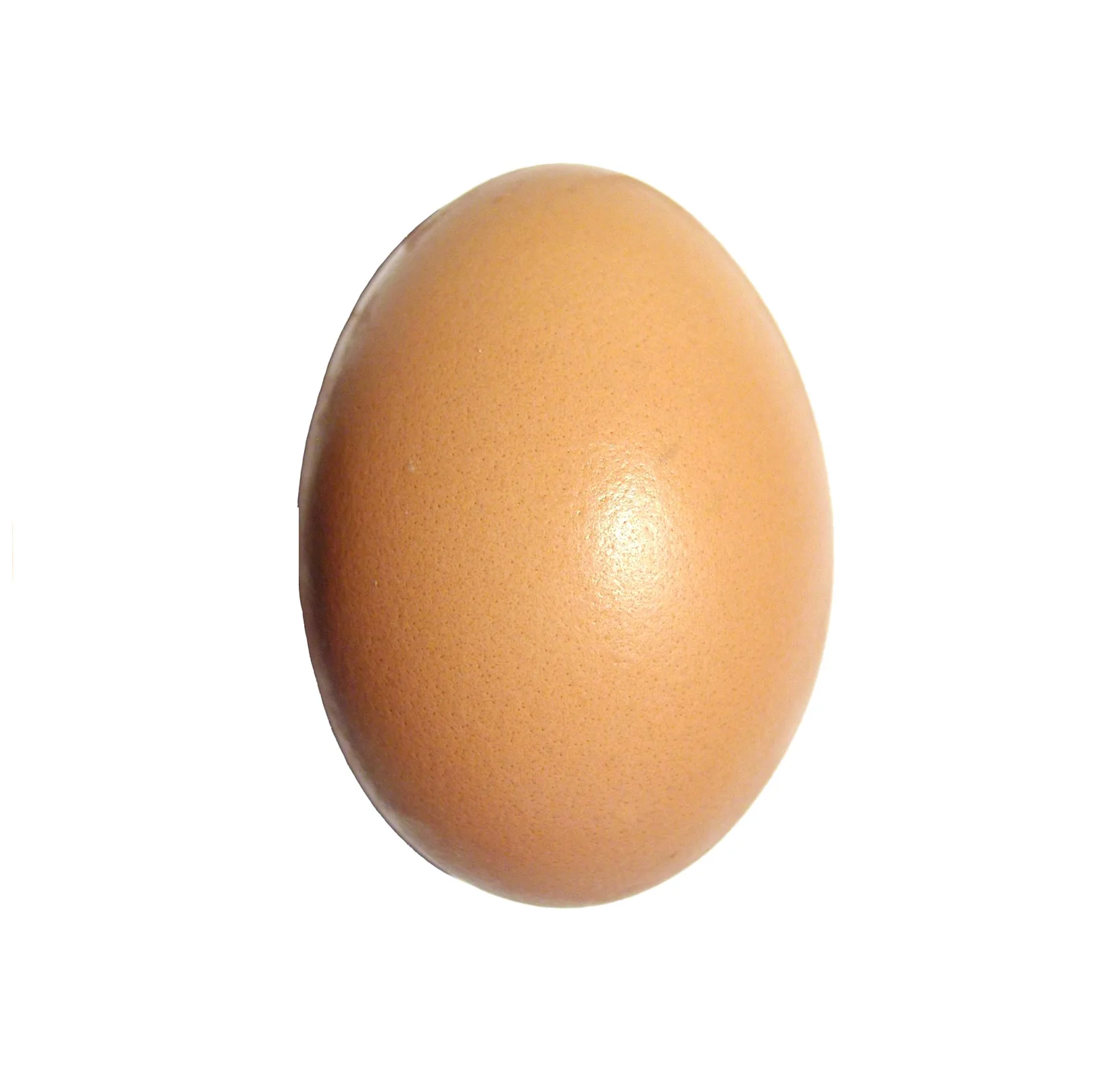 Eggs have lots of Collagen