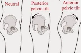 Neutral pelvis versus Imprinted Pelvis in Exercise