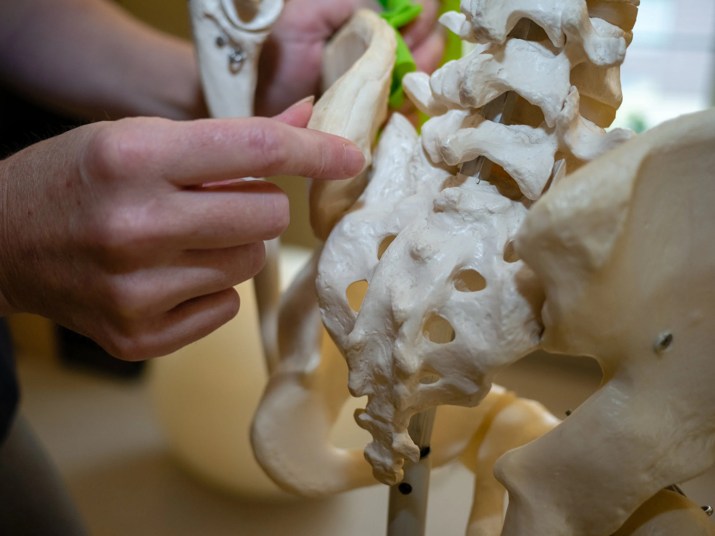 Pilates-in-Guelph-63.jpg