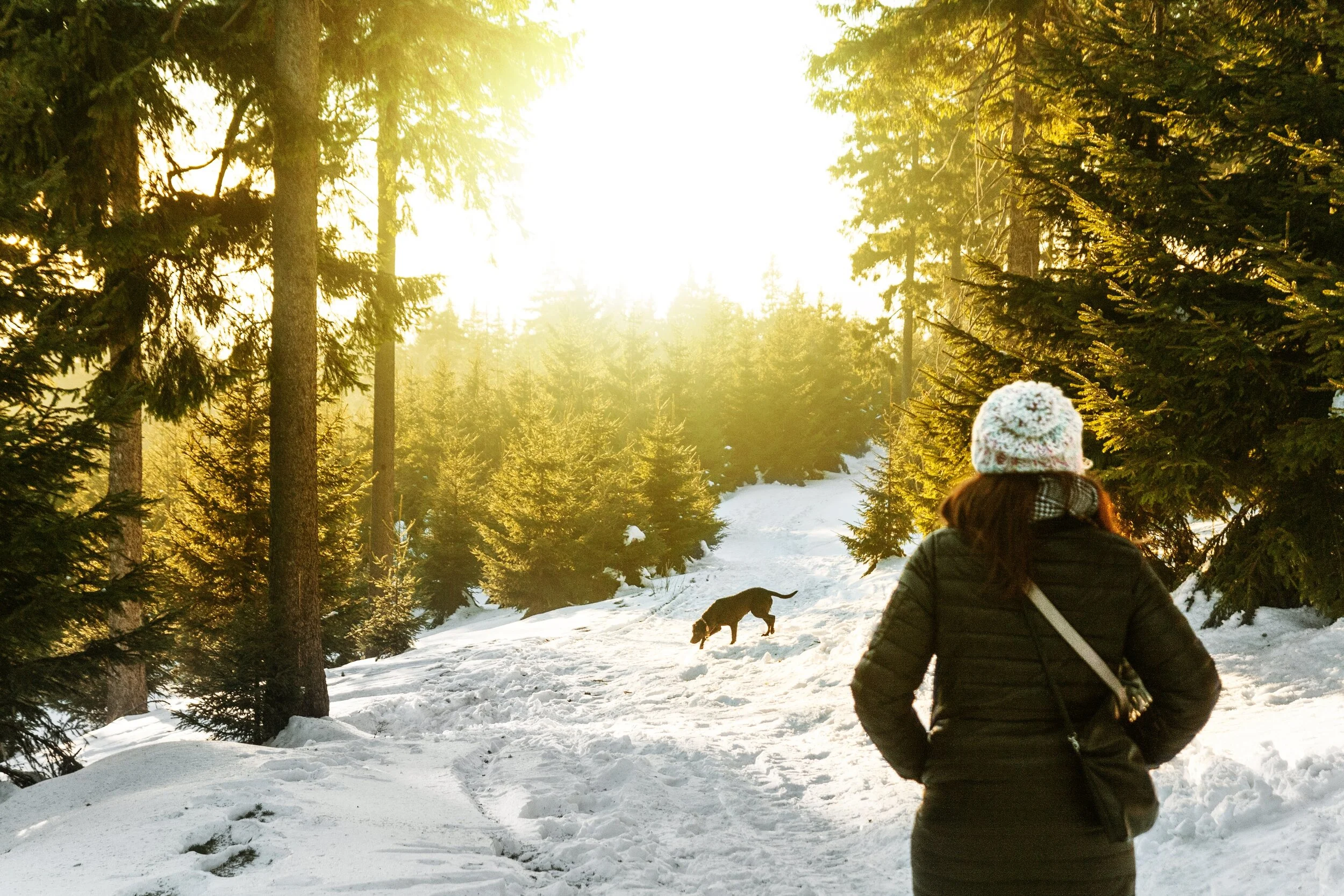 Woman walking in woods with dog winter.jpg