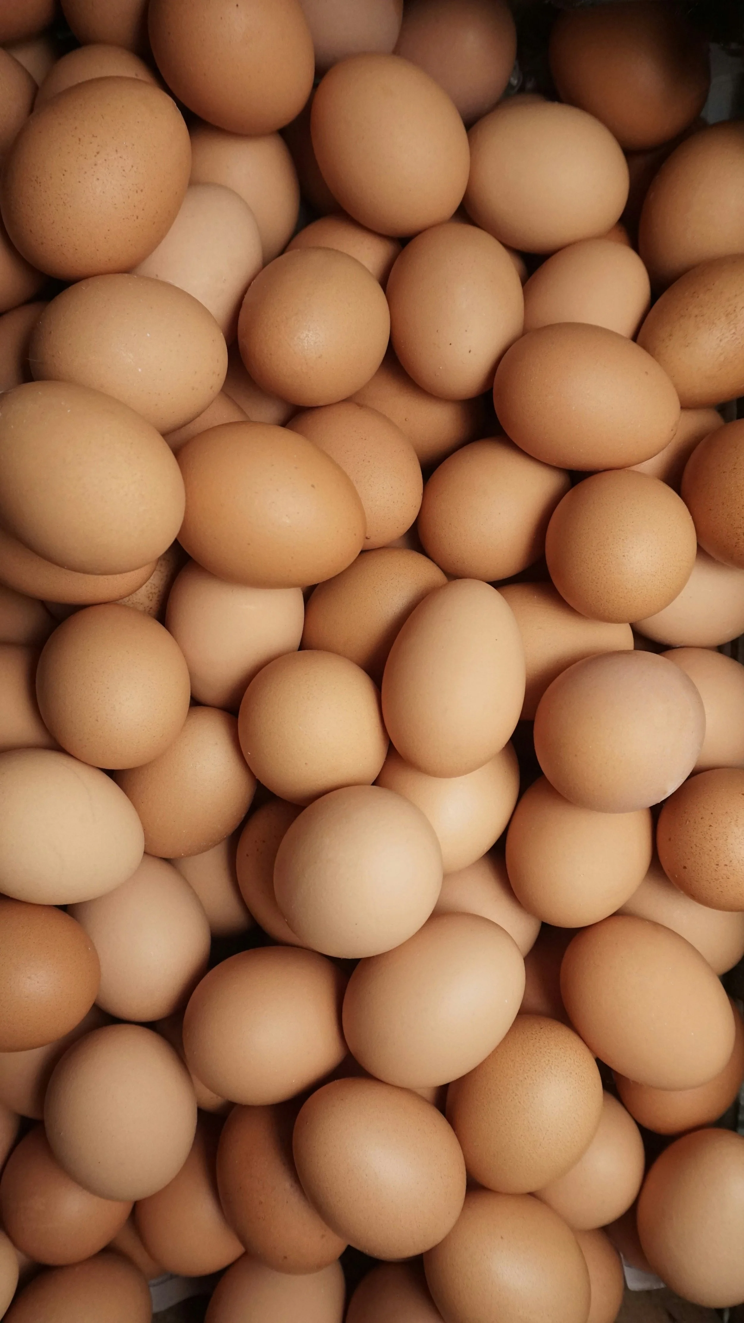 Health Benefits of Eggs
